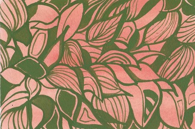 Hosta plantaginea / Hosta