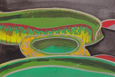 Victoria cruziana / Lily Pads