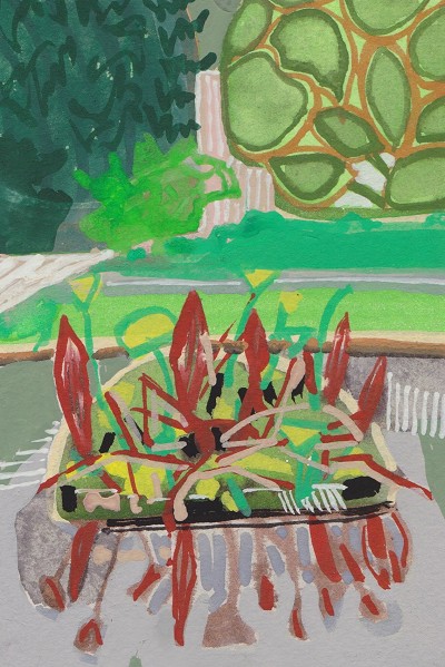 Gunnera Island
