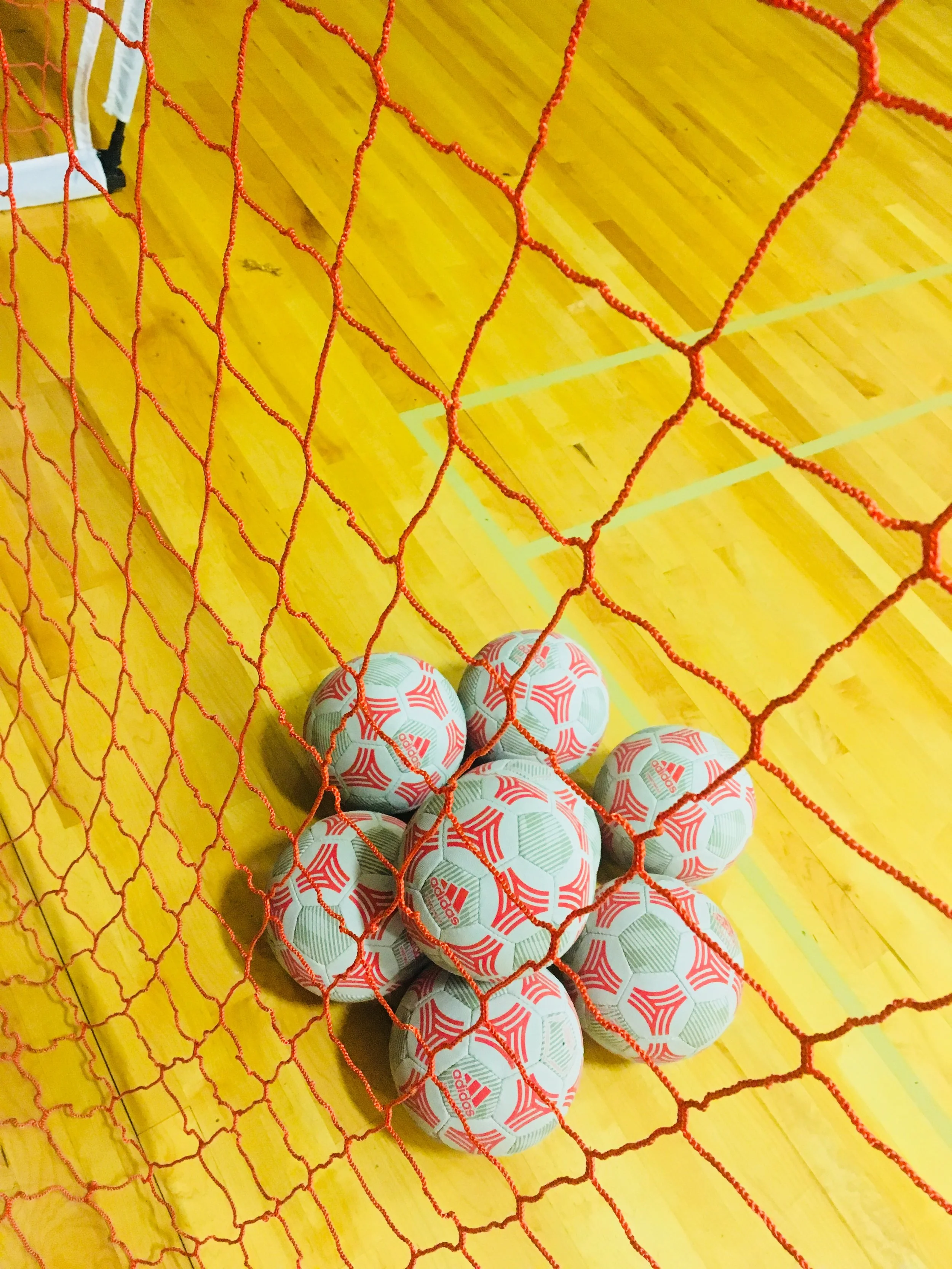 5385B90E-310C-4FF6-970B-4F7F4556F5A5