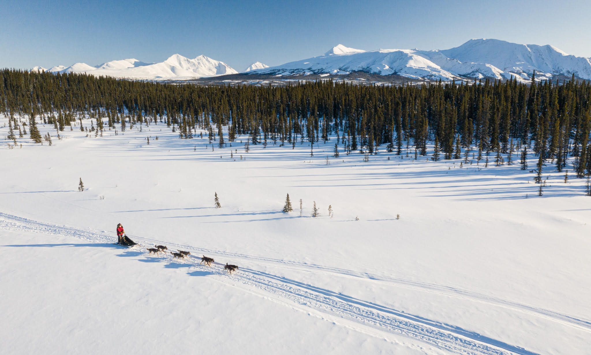 Ariel image of dogsledding in Alaska Range.