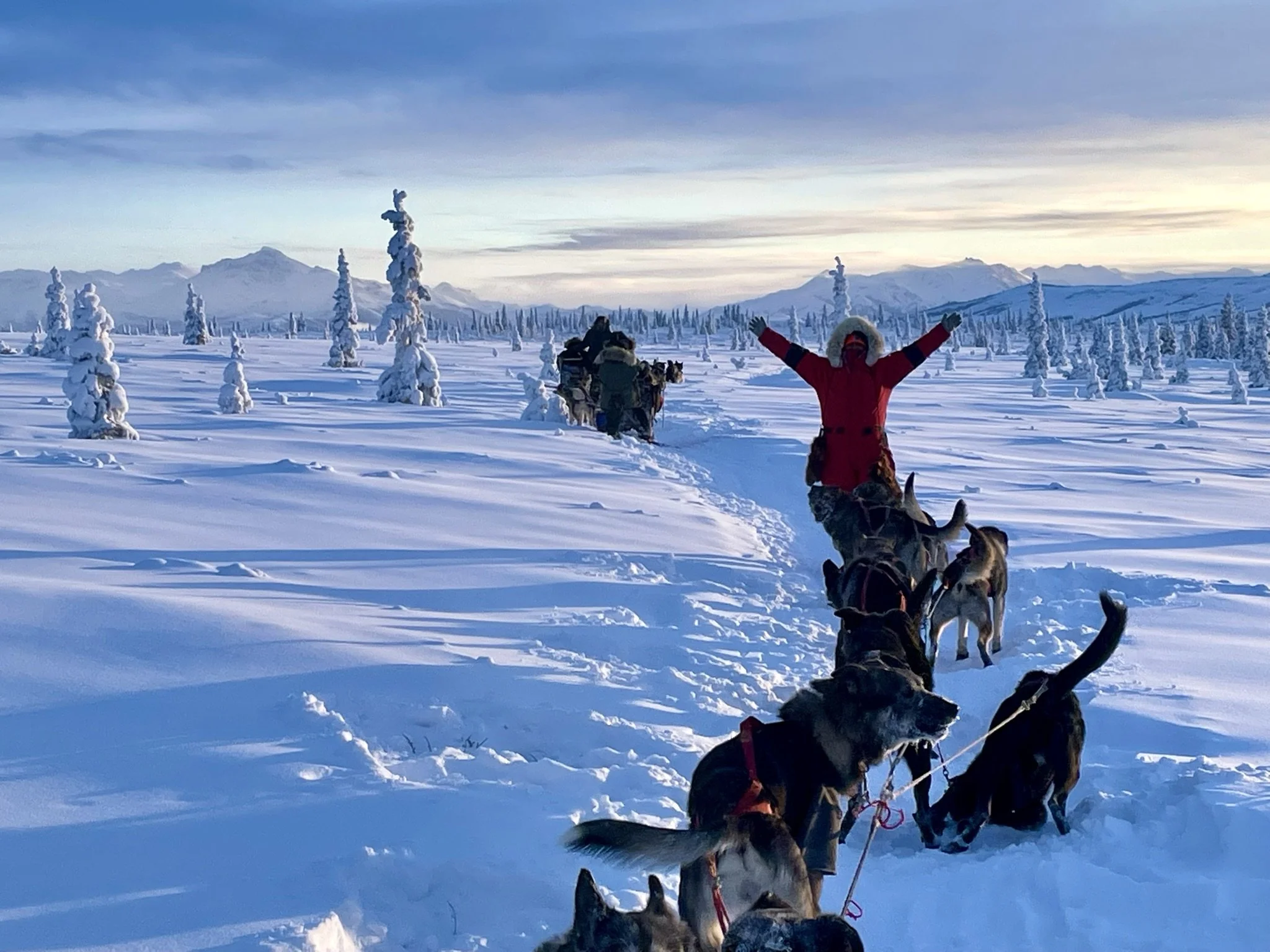 Mushing Tours — Outer Range Dogsled Tours