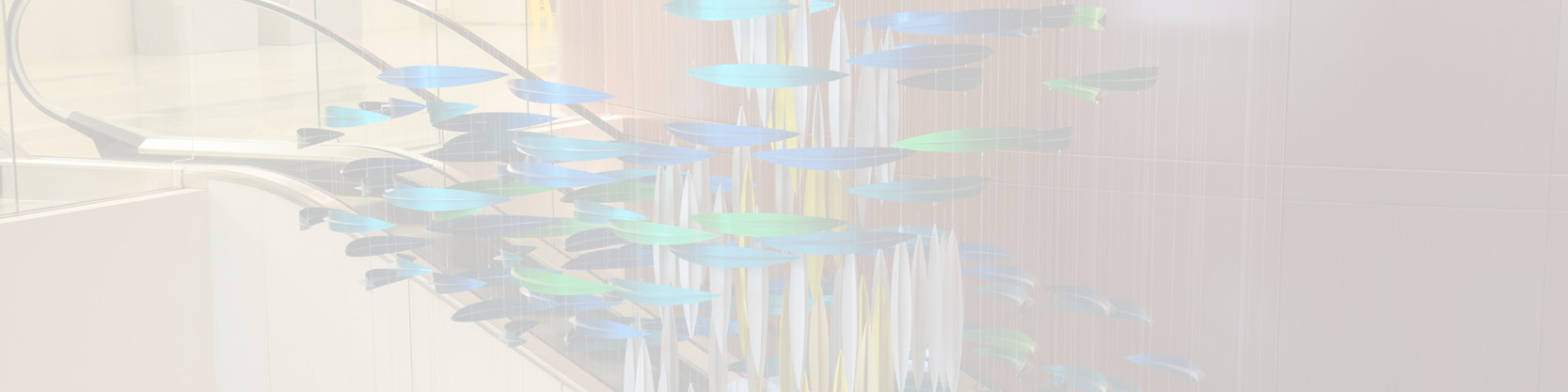 CaseStudy_Banner_NW.jpg