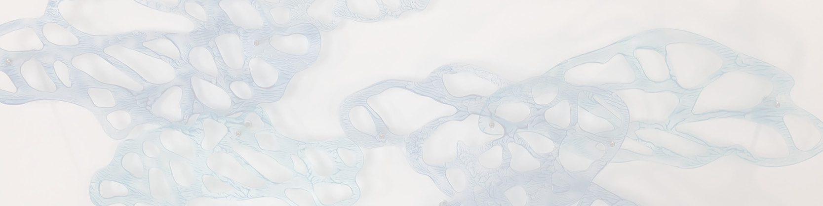 CaseStudy_Banner.jpg