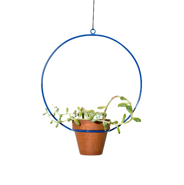 Circle-Blue.jpg
