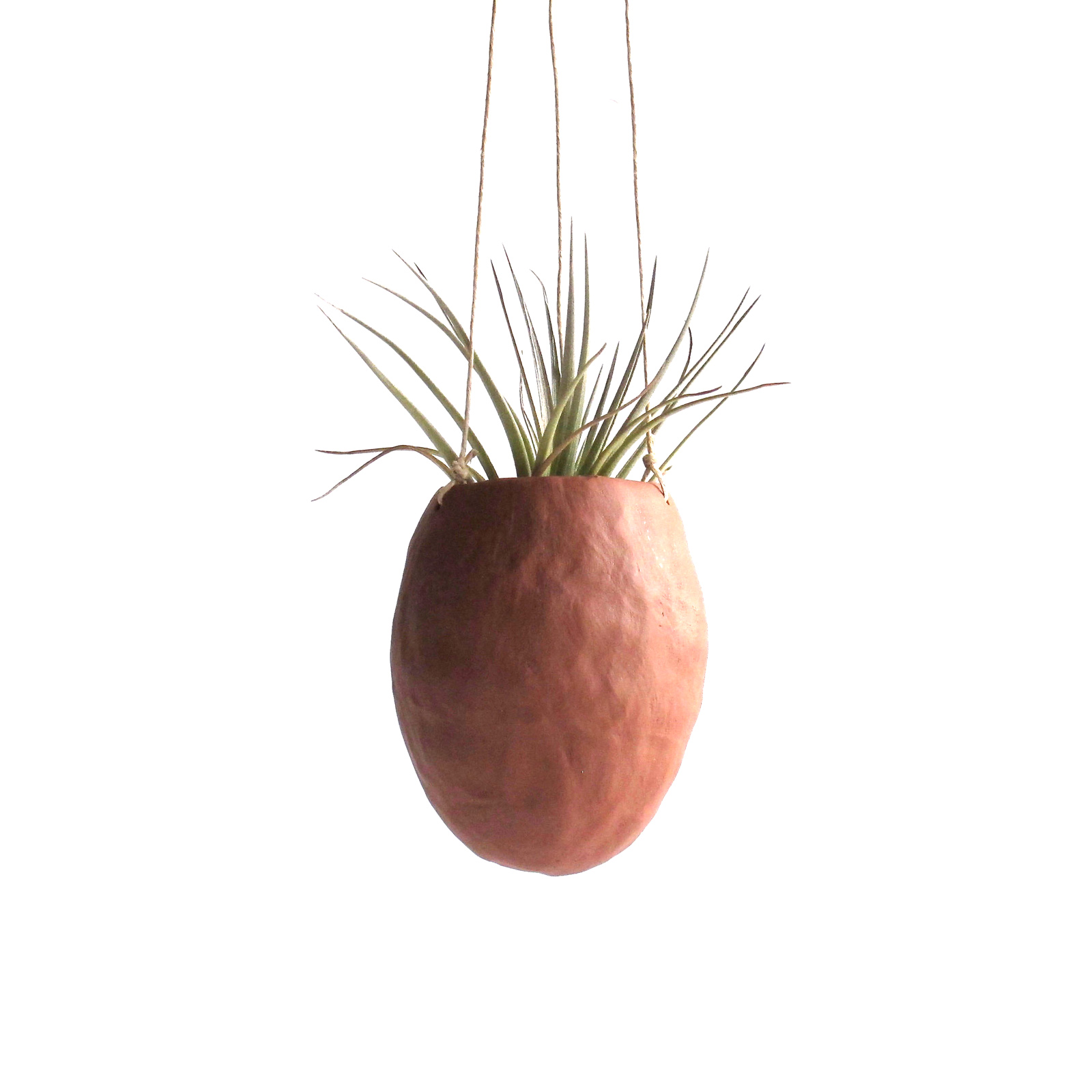 pinch.jpg