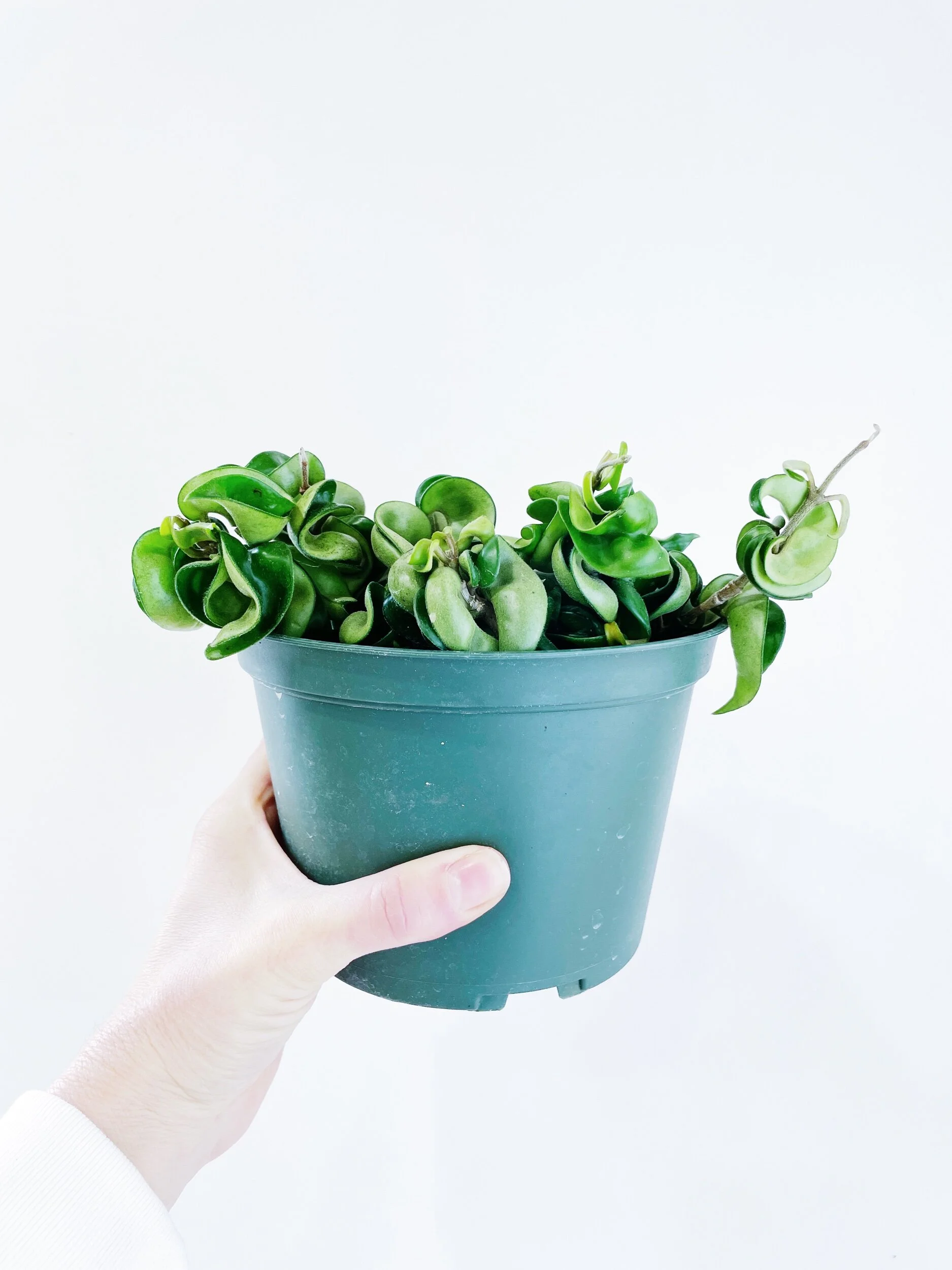 82B359F0-B22C-460A-AD00-0D1A979000BC