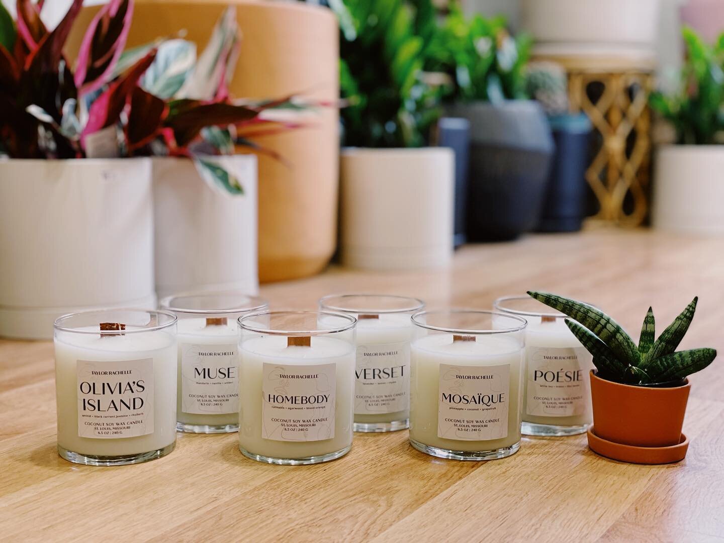 We&rsquo;re very excited to have some new candles by @shoptayrachelle. We&rsquo;ve also been carrying the cutest small pots by @michiko_shimada. Someday, we&rsquo;ll get around to putting both of these online, but for now, you can find them in the sh