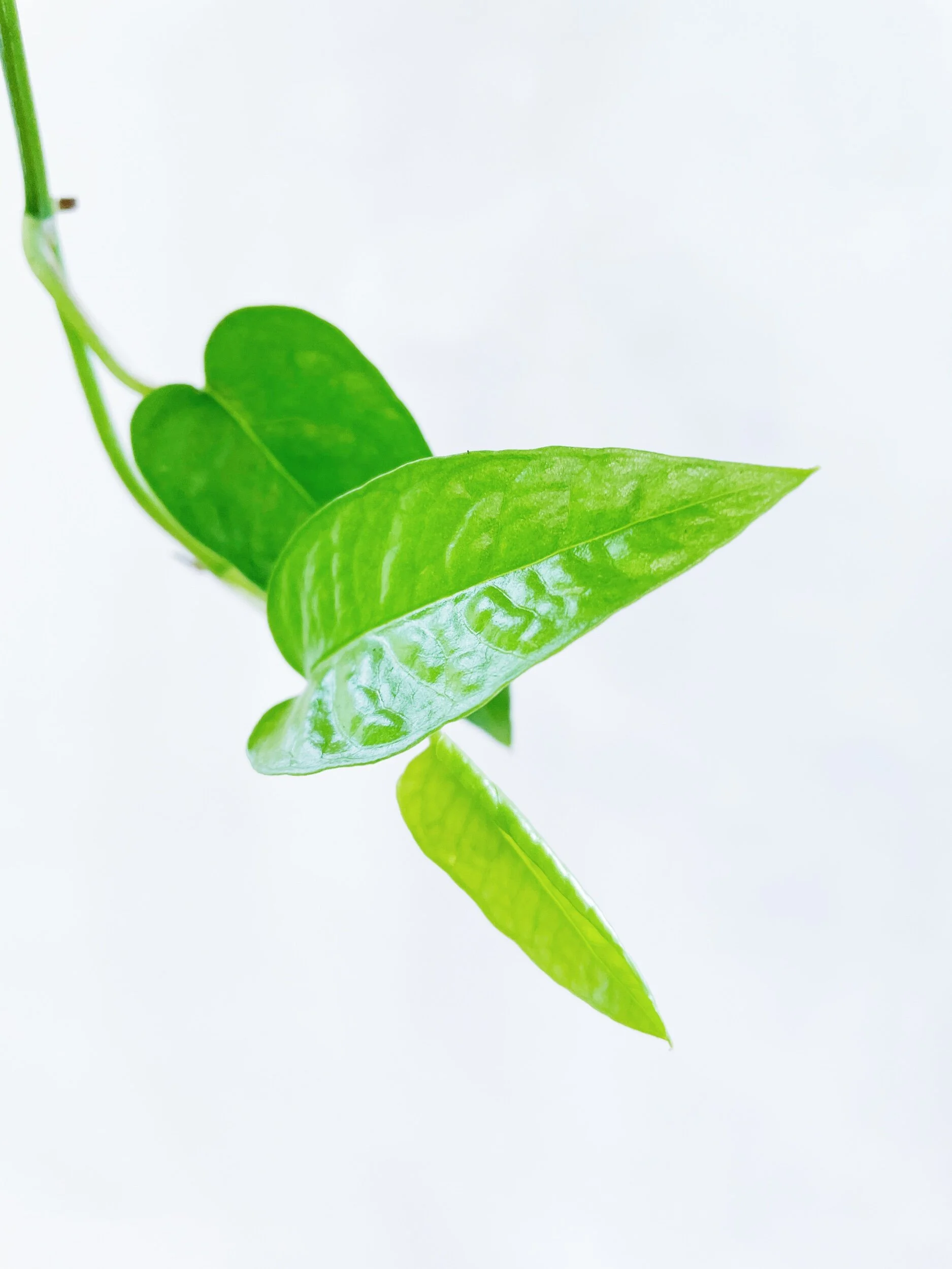 573F2C5E-8A70-4B47-ADFD-C135DE102C6D