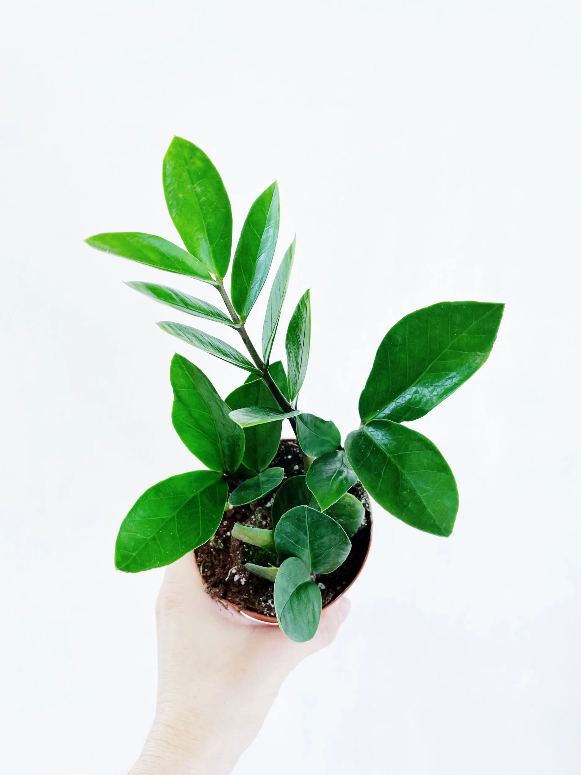 4E4F9ADD-E5FA-49C5-A9AE-AB05F042914D