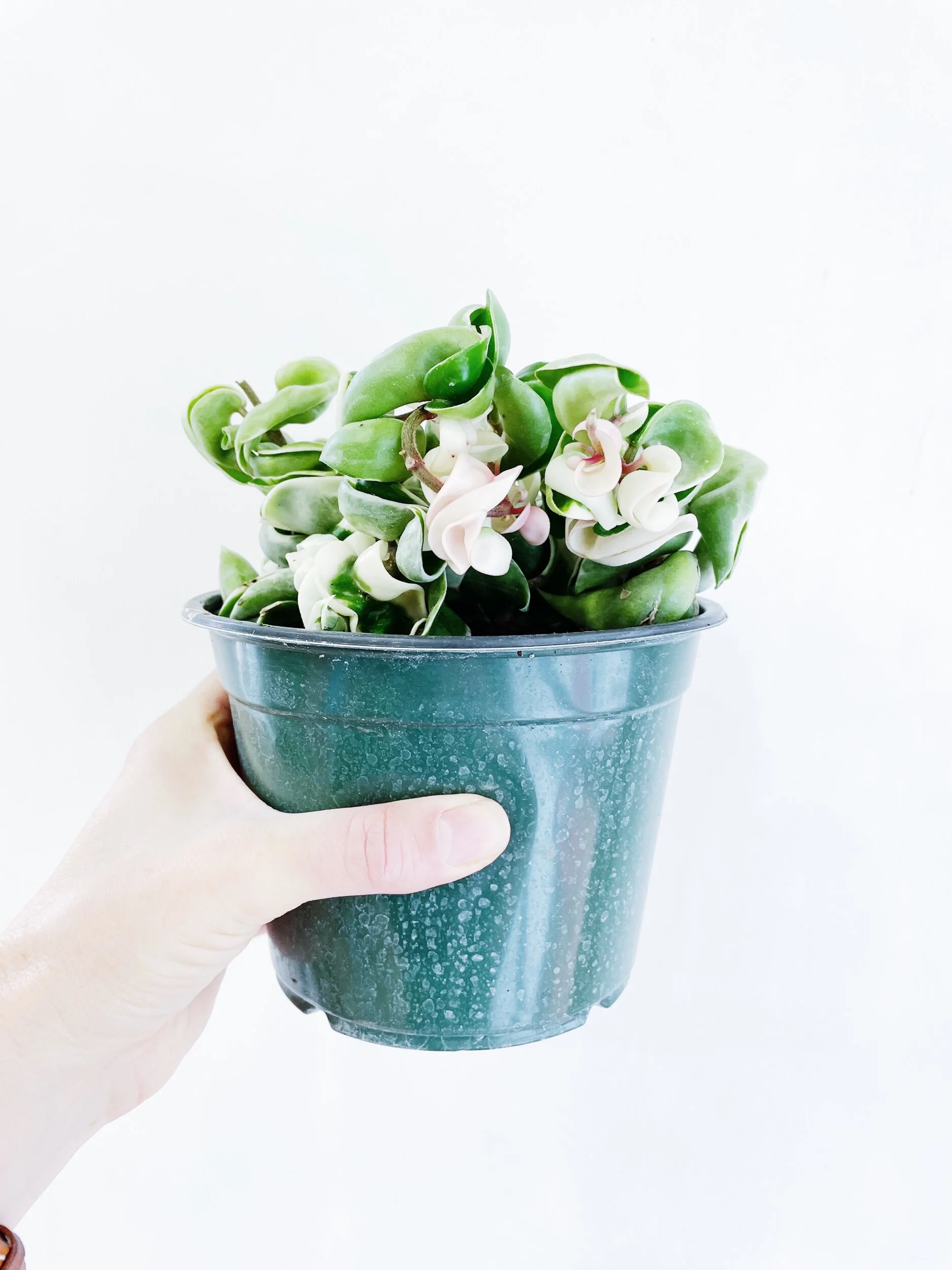 13A4BD68-851D-4FD9-9B49-725B5E3BB650