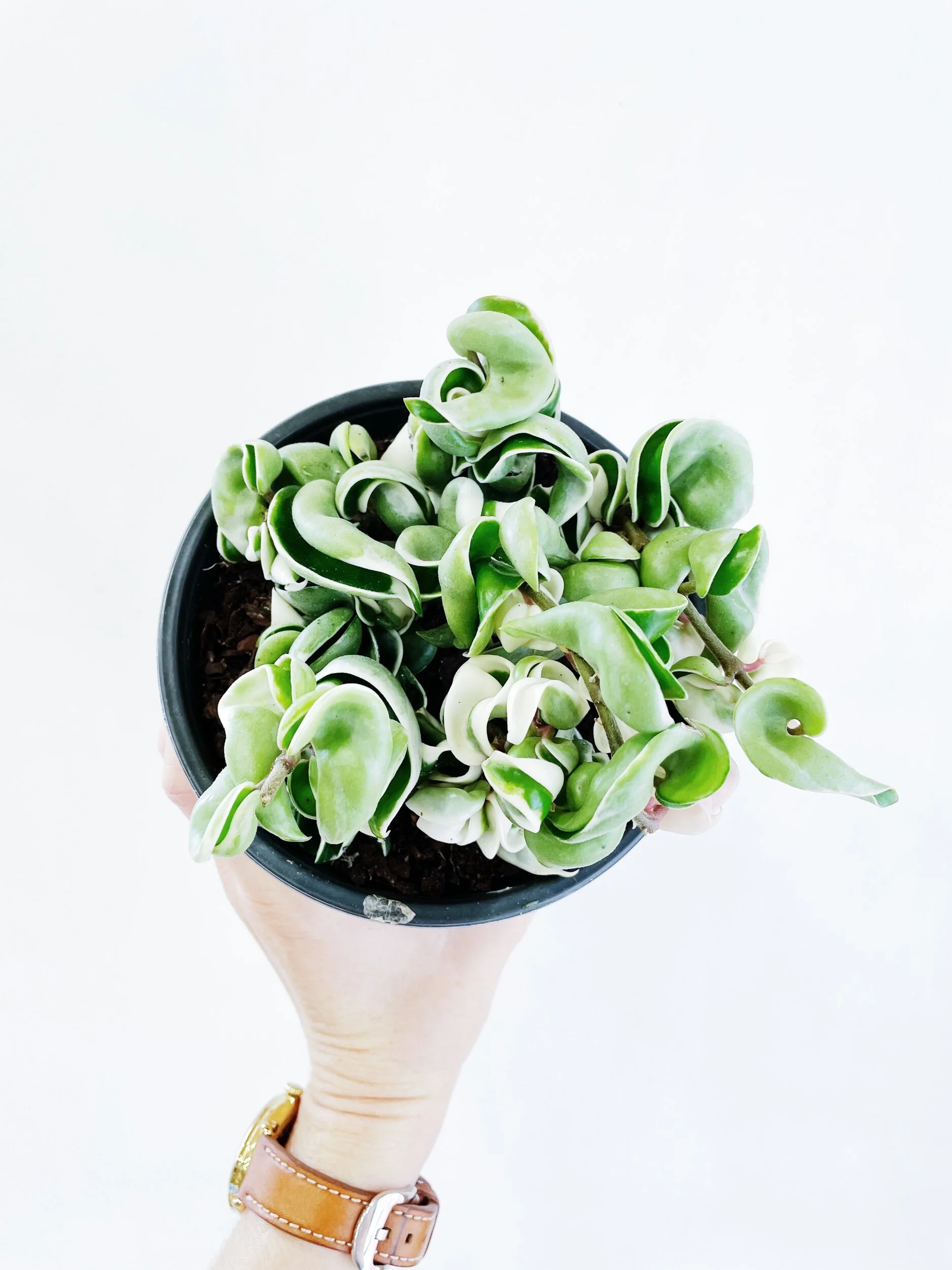 B63472FE-5B0C-459A-AB08-D62E3FA2F29A