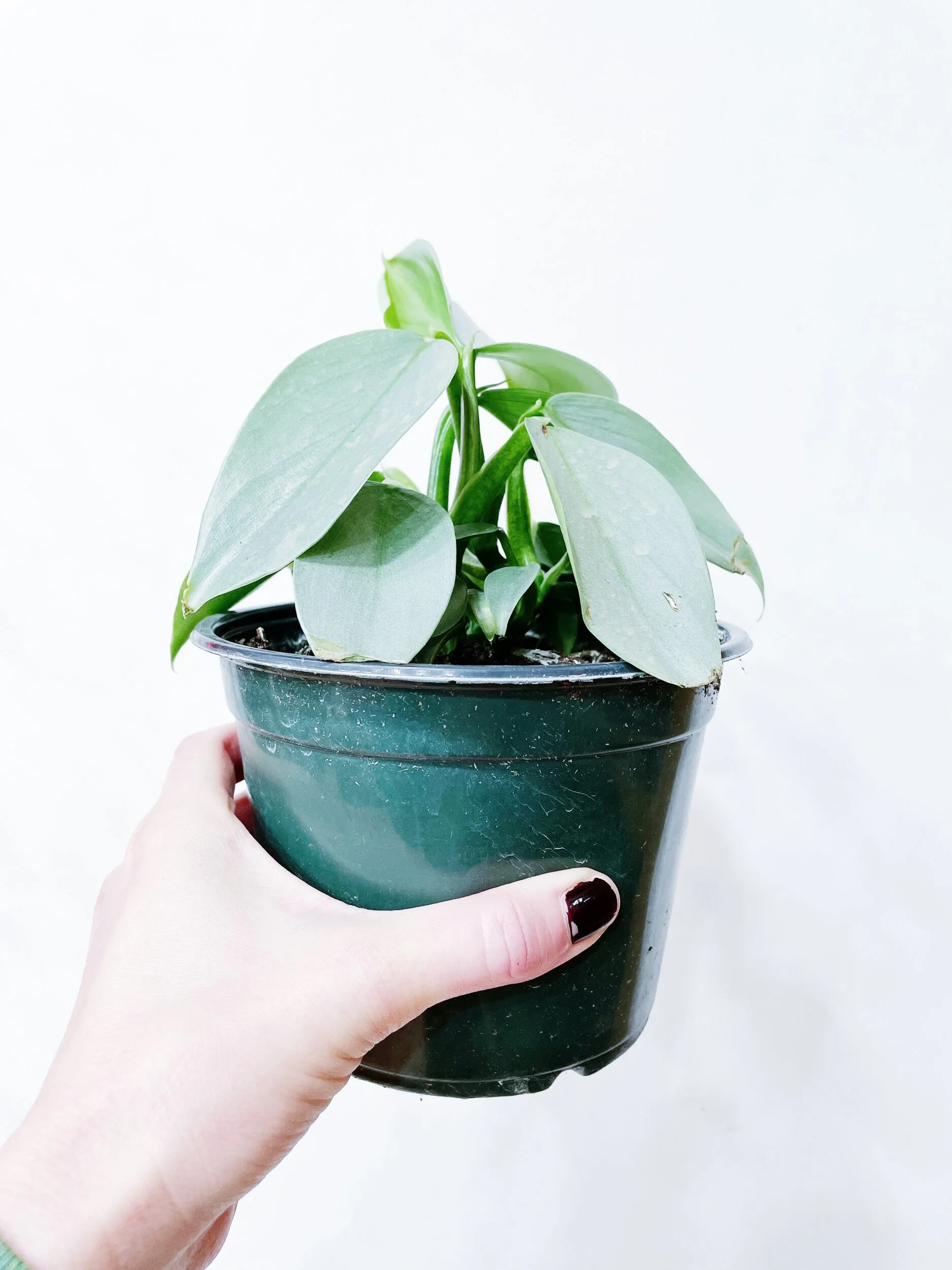 33659975-6751-472A-8CA8-E71CBD535E38