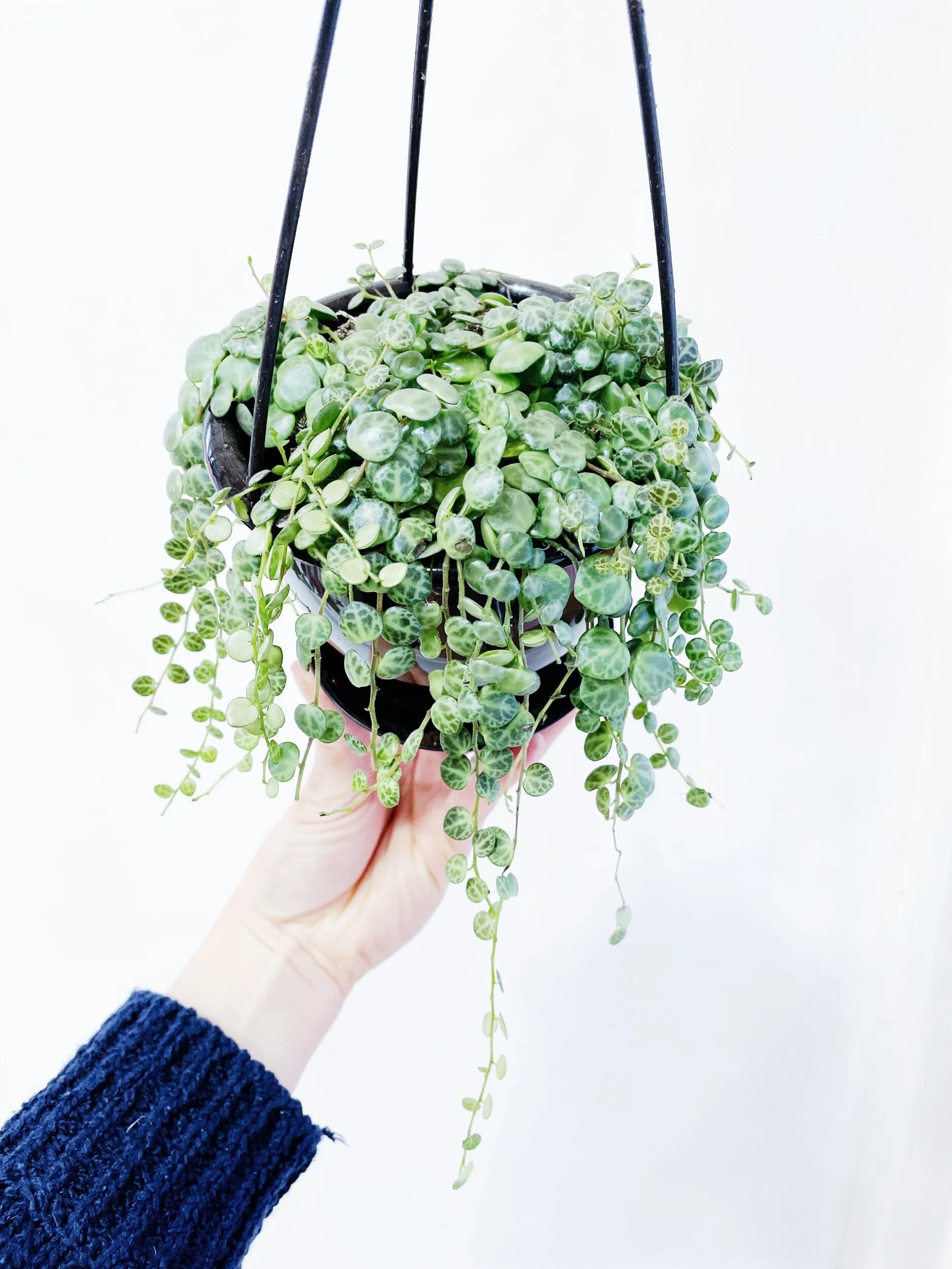 B1B6DF21-EADB-4F46-901C-08A9CBAC81DC