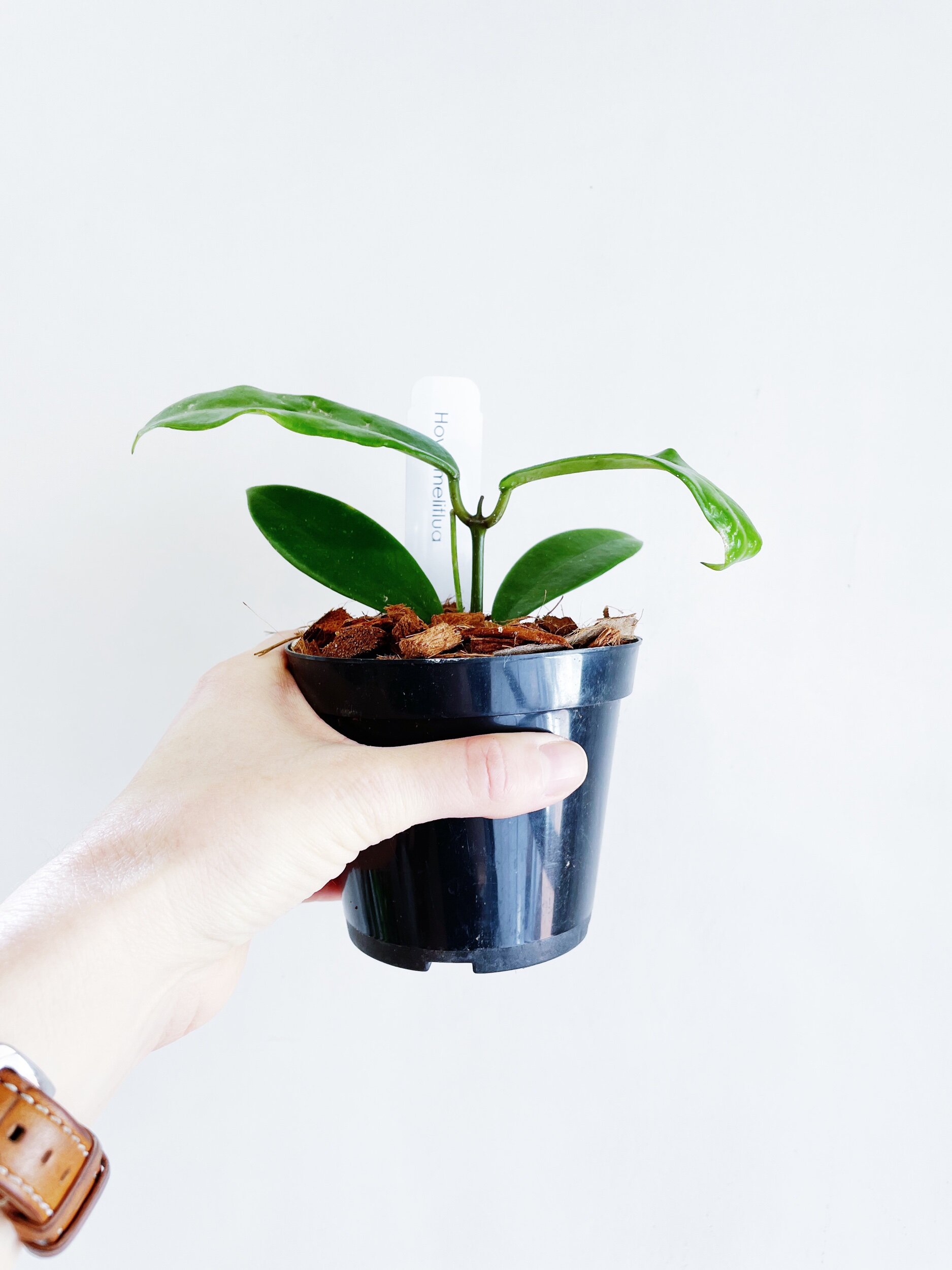 28113E3C-16E4-4098-8829-0C654D2B610B