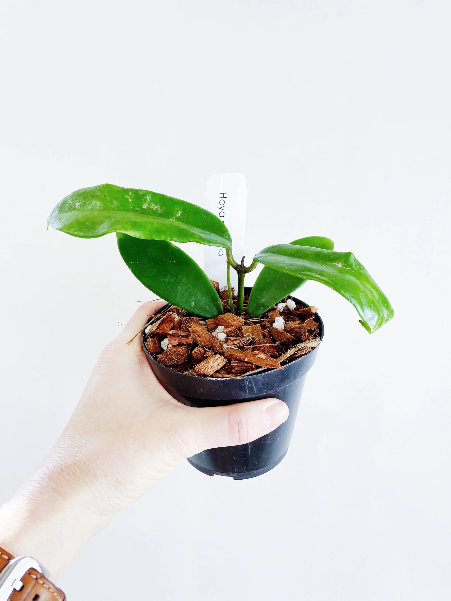 41E539F8-A990-4779-9438-520B32B38CF0