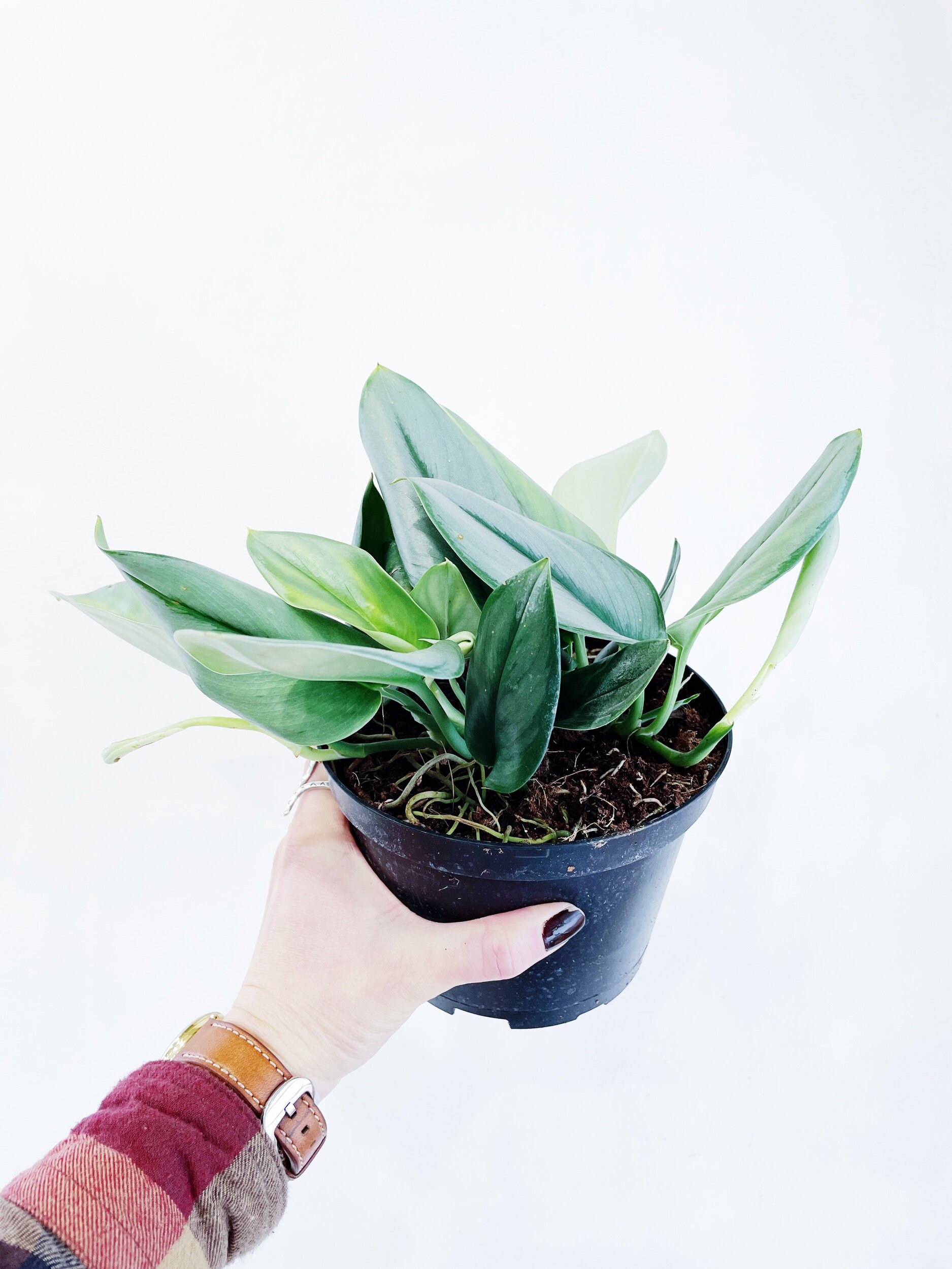 689E5137-4627-4C79-B032-4222ACA05857