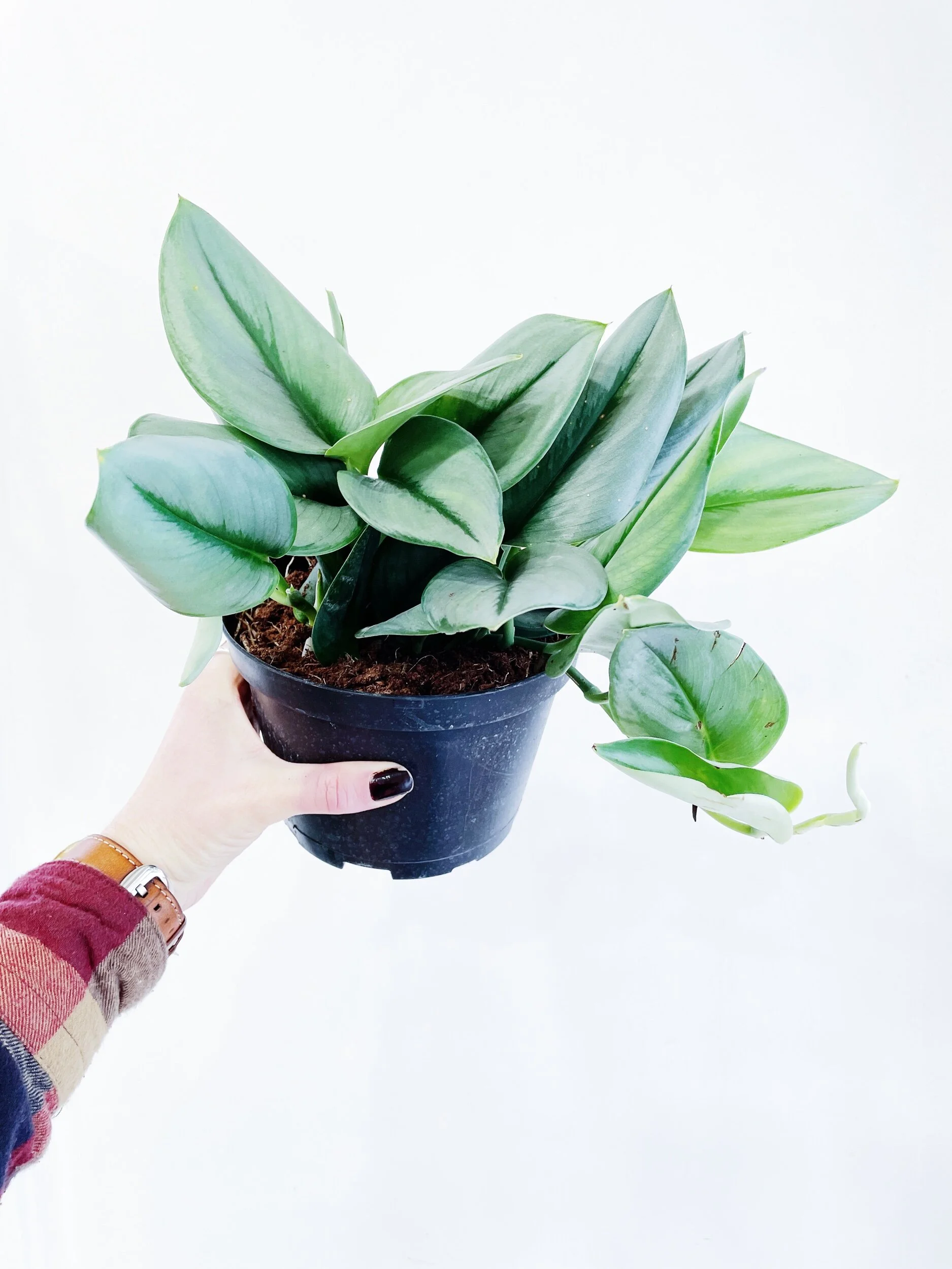 86BBE952-08F4-47C4-9C98-F51E0967A461