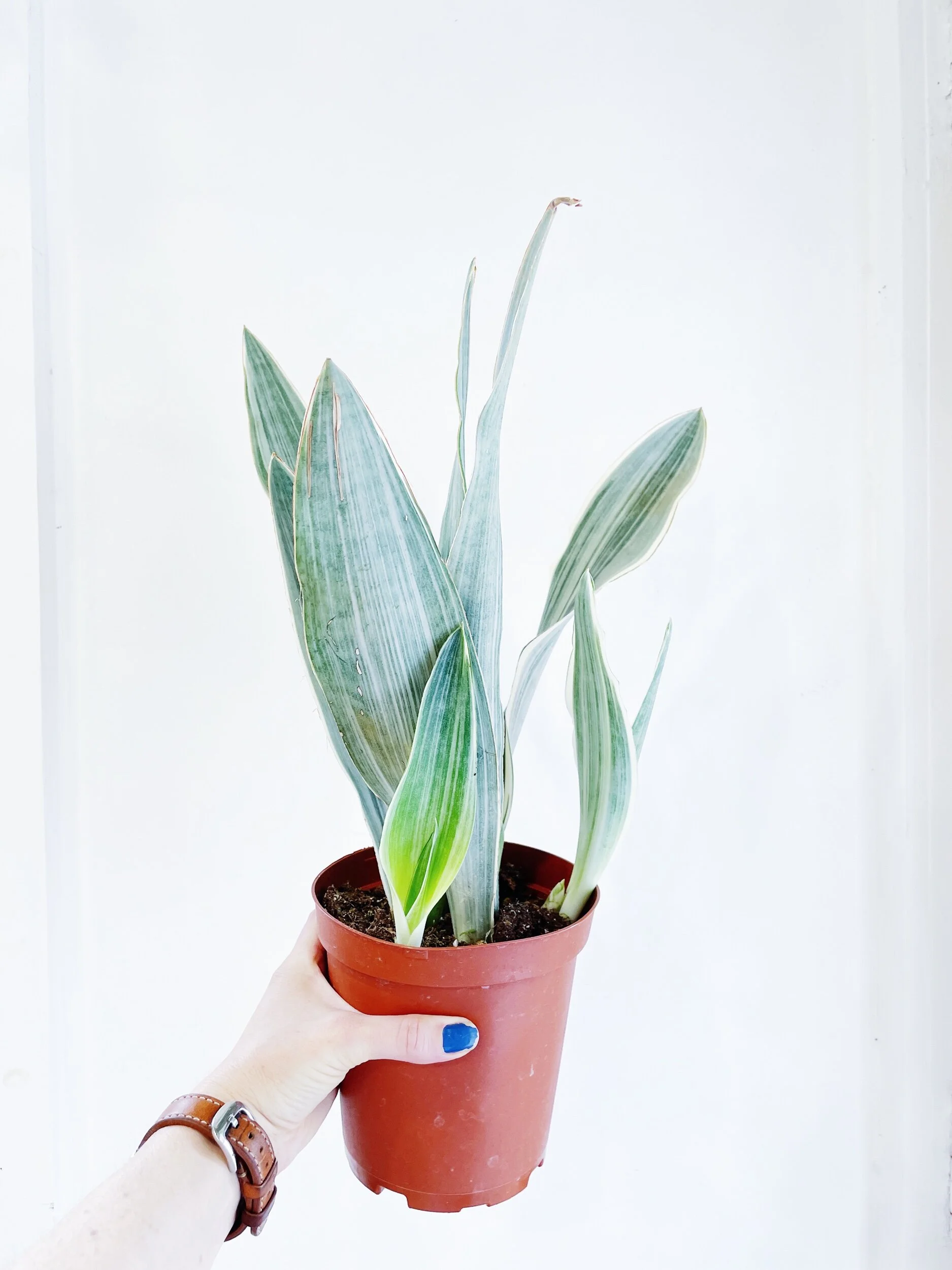 35B1337E-4E9E-49E1-86DB-F6E362B49C16