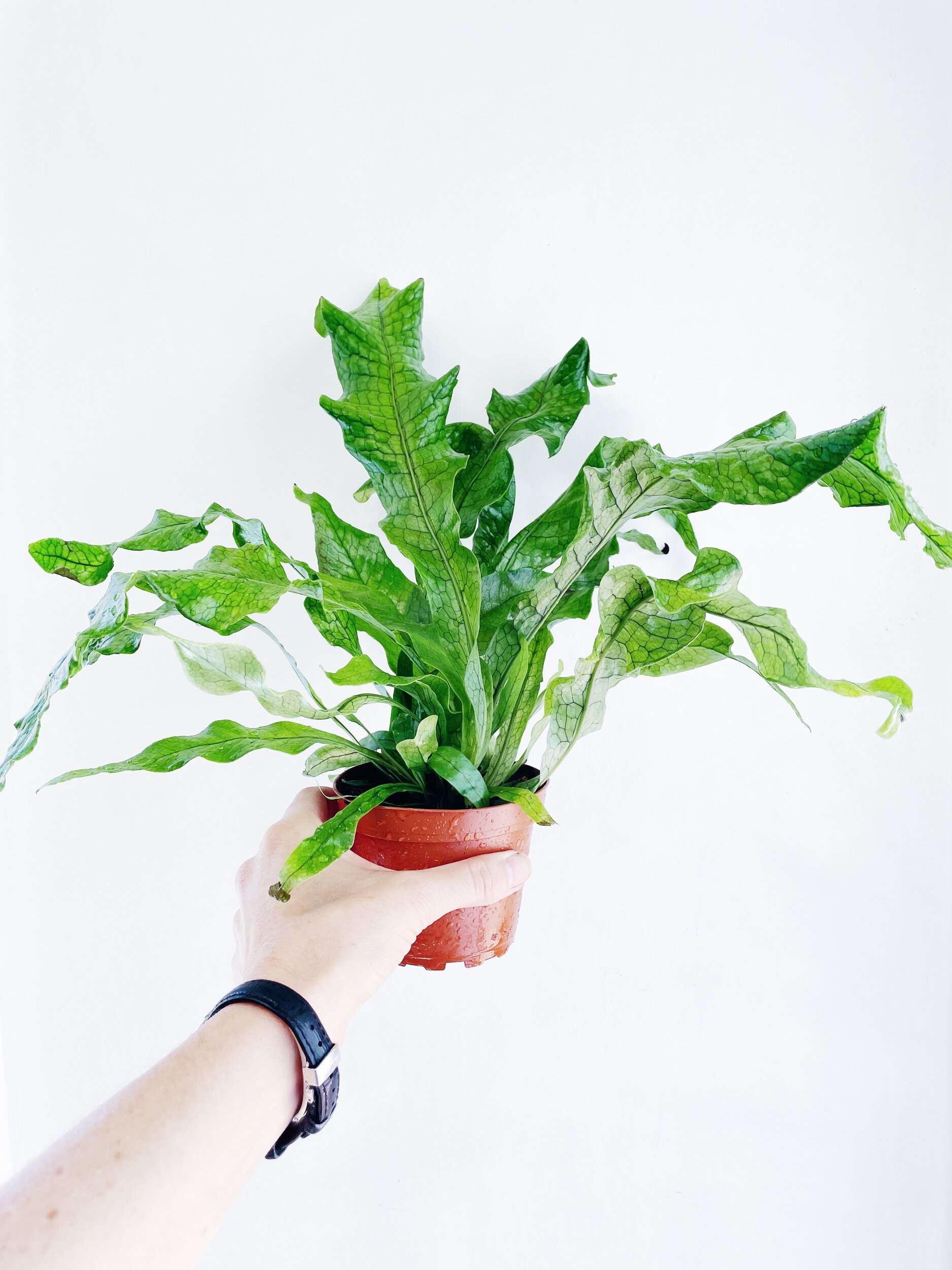 B83919D3-D041-4F03-A4C6-10F3ECE8D2DE