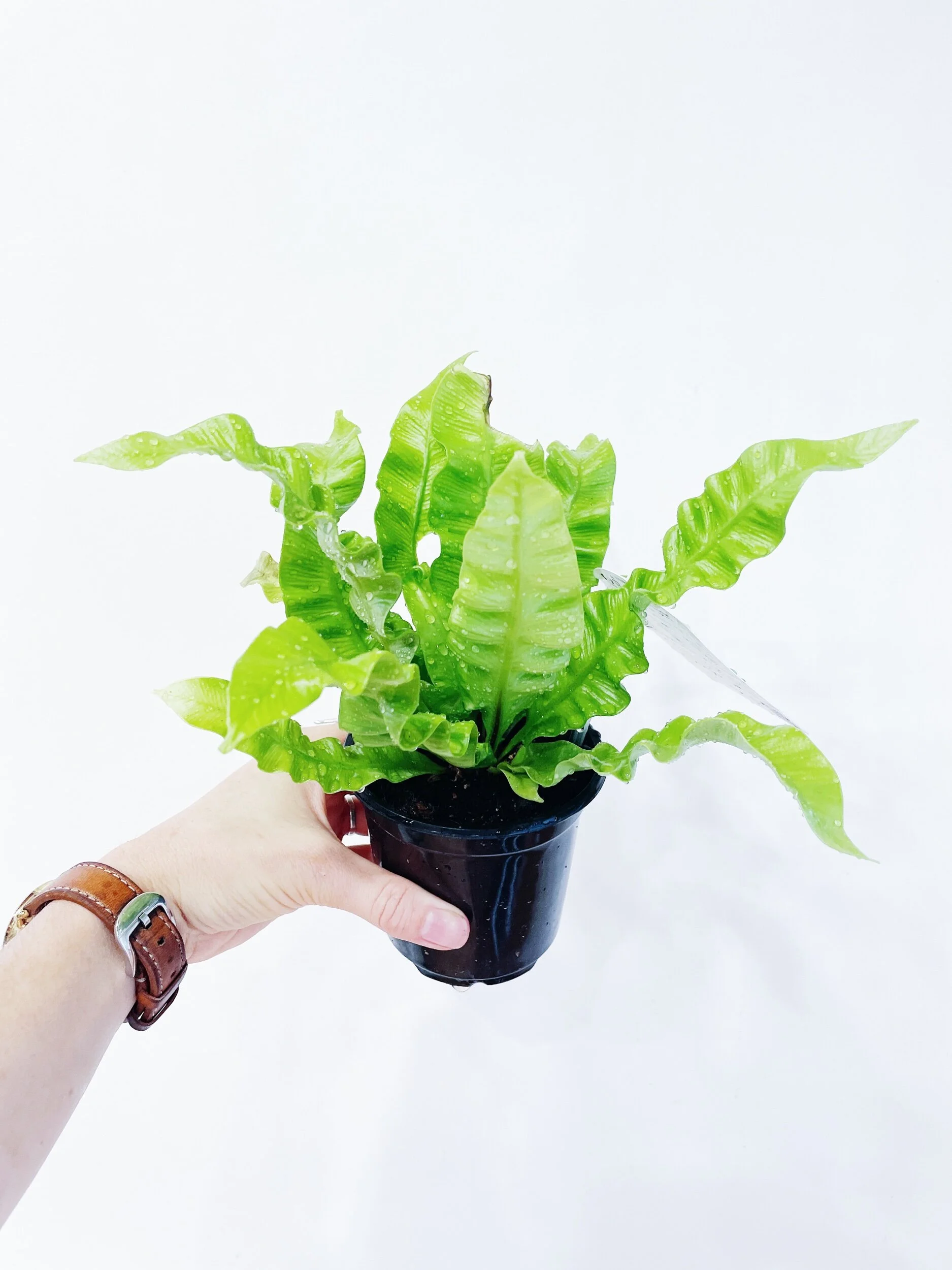 D4358E77-AF6E-4A1C-A710-C76377603C6B