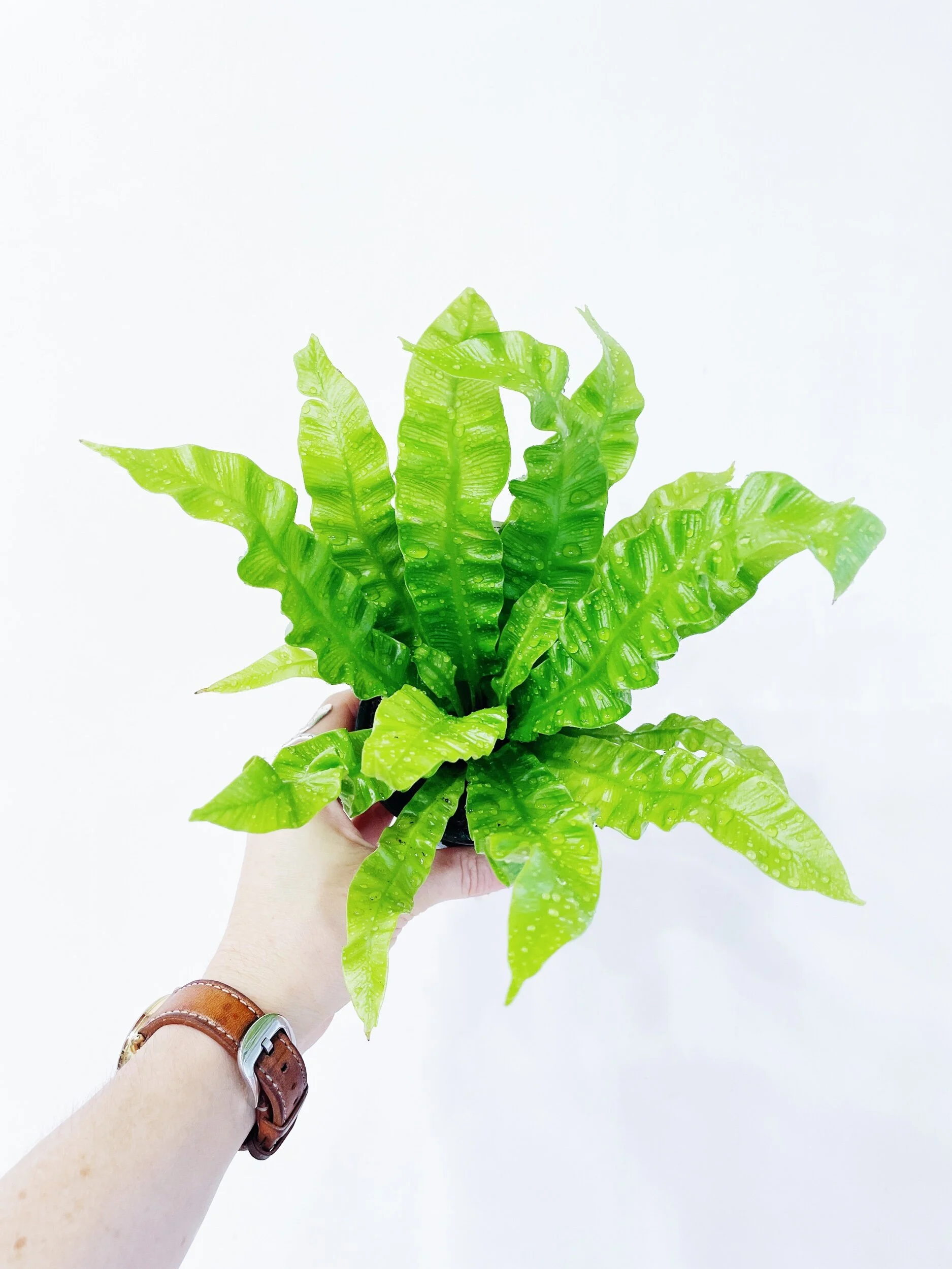 14F3091F-46C0-4AC7-A00A-4857C09AD245