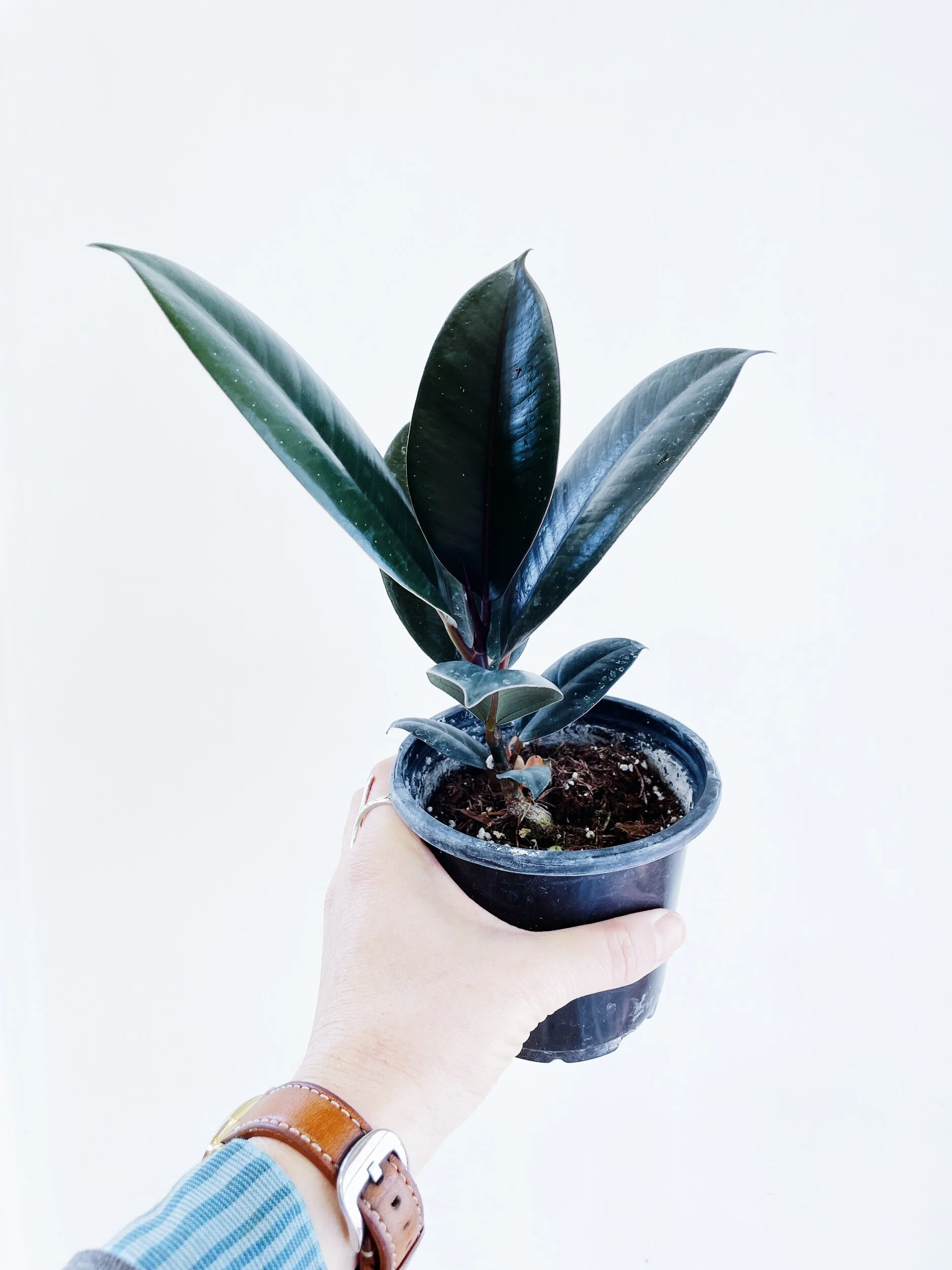 AD7DCBD6-2807-4BD5-B6BA-9CA3582407A3