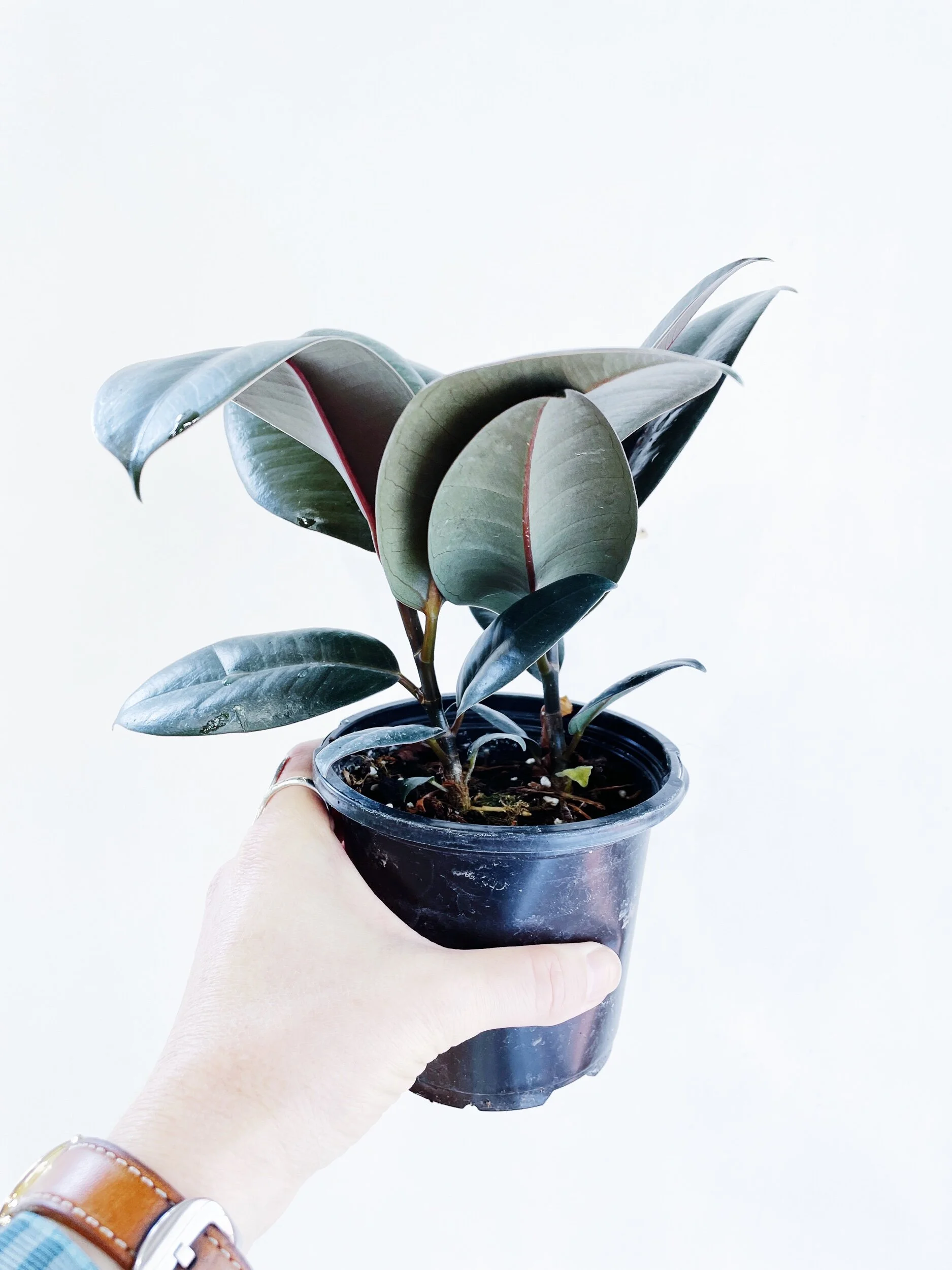 A1E30796-EE96-48F1-AD12-8F7771945F49