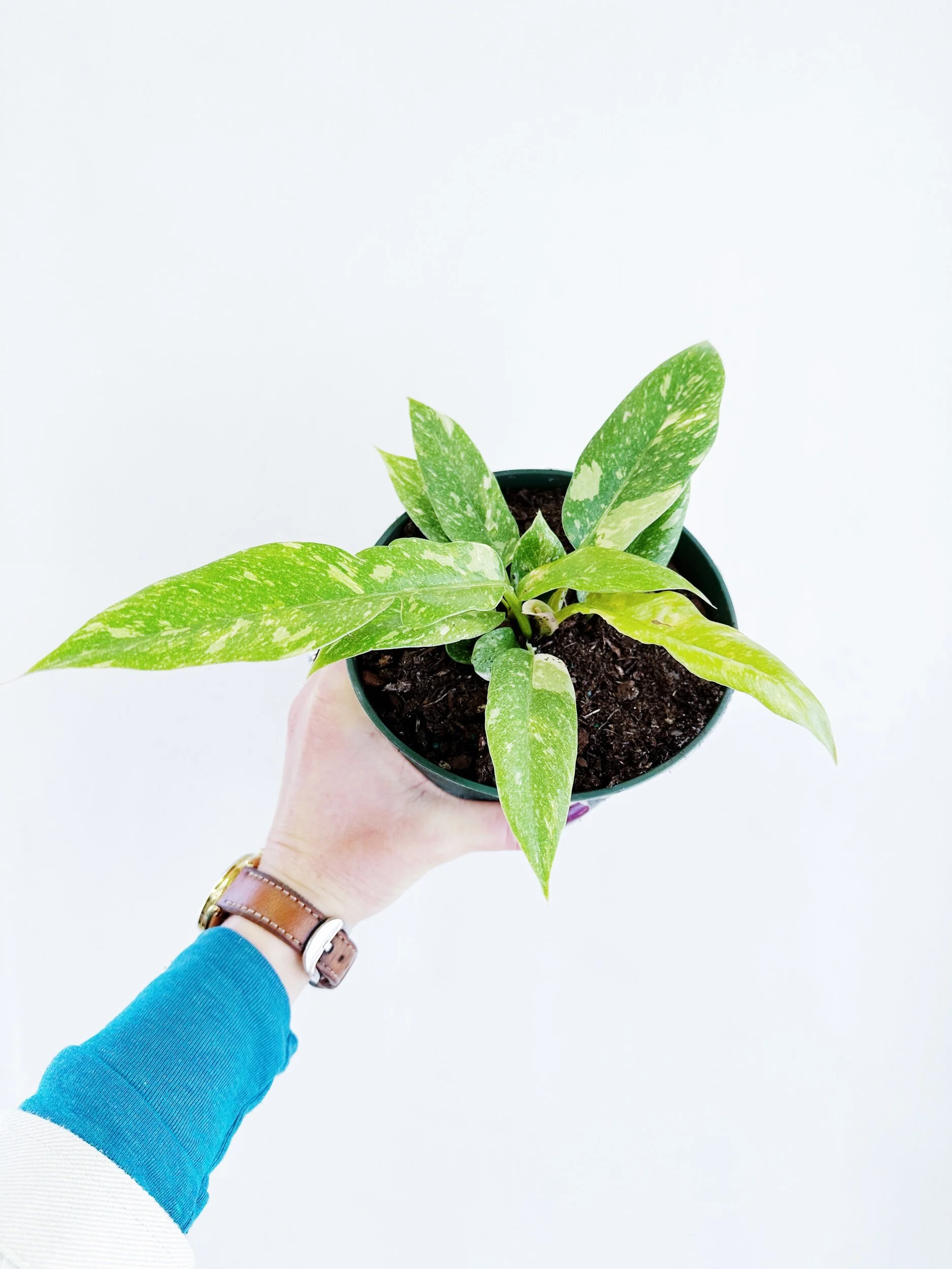 1C9F33F3-5223-4431-80D4-2EA4EC276971