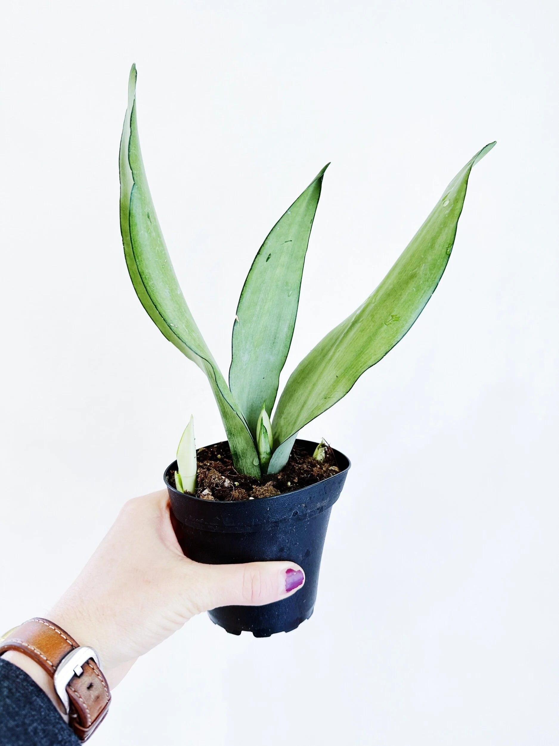 8BE6C4F1-5549-4843-8A2B-5FB97A380E93