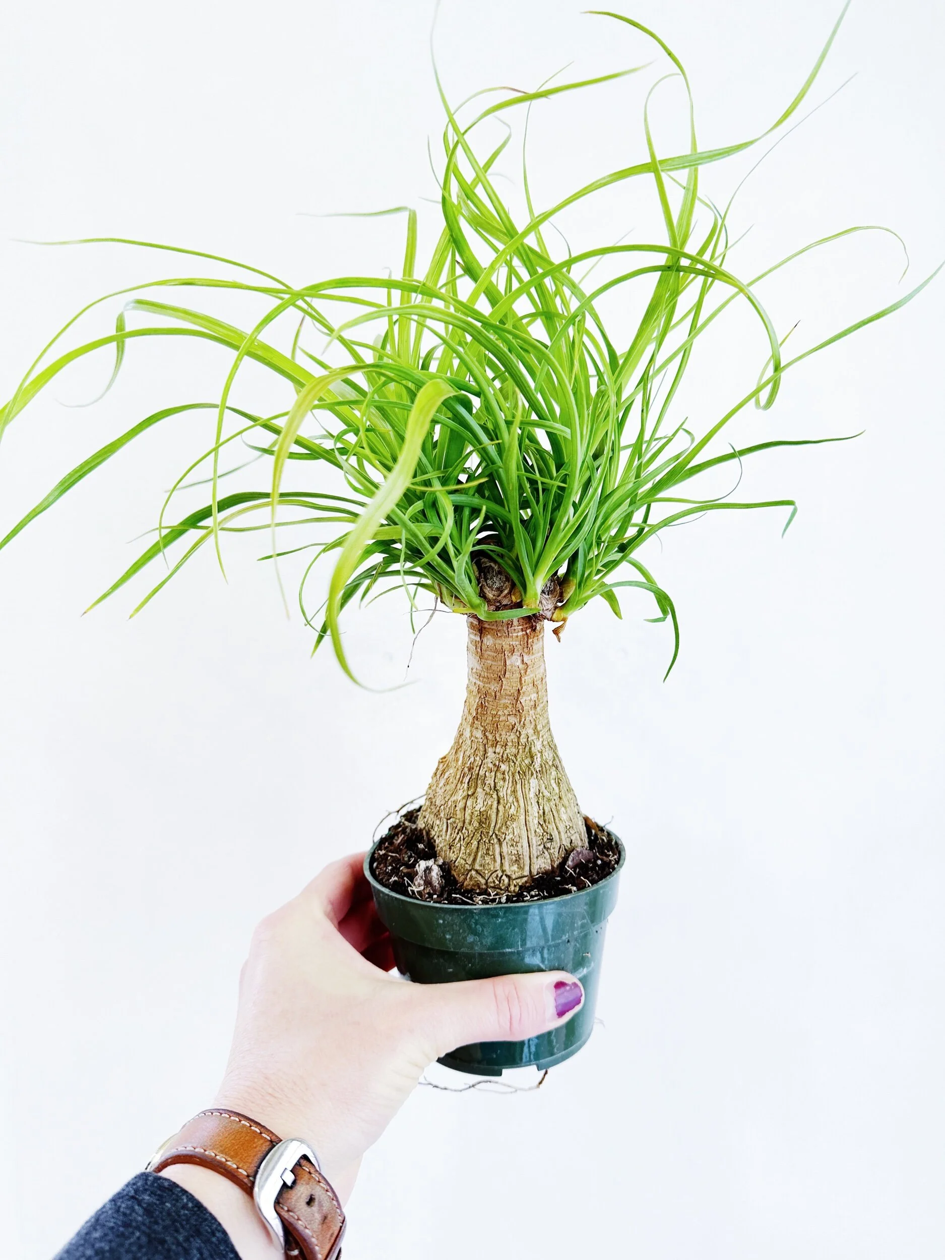 722C5FE3-C568-4B7B-97F4-A51440C4D588