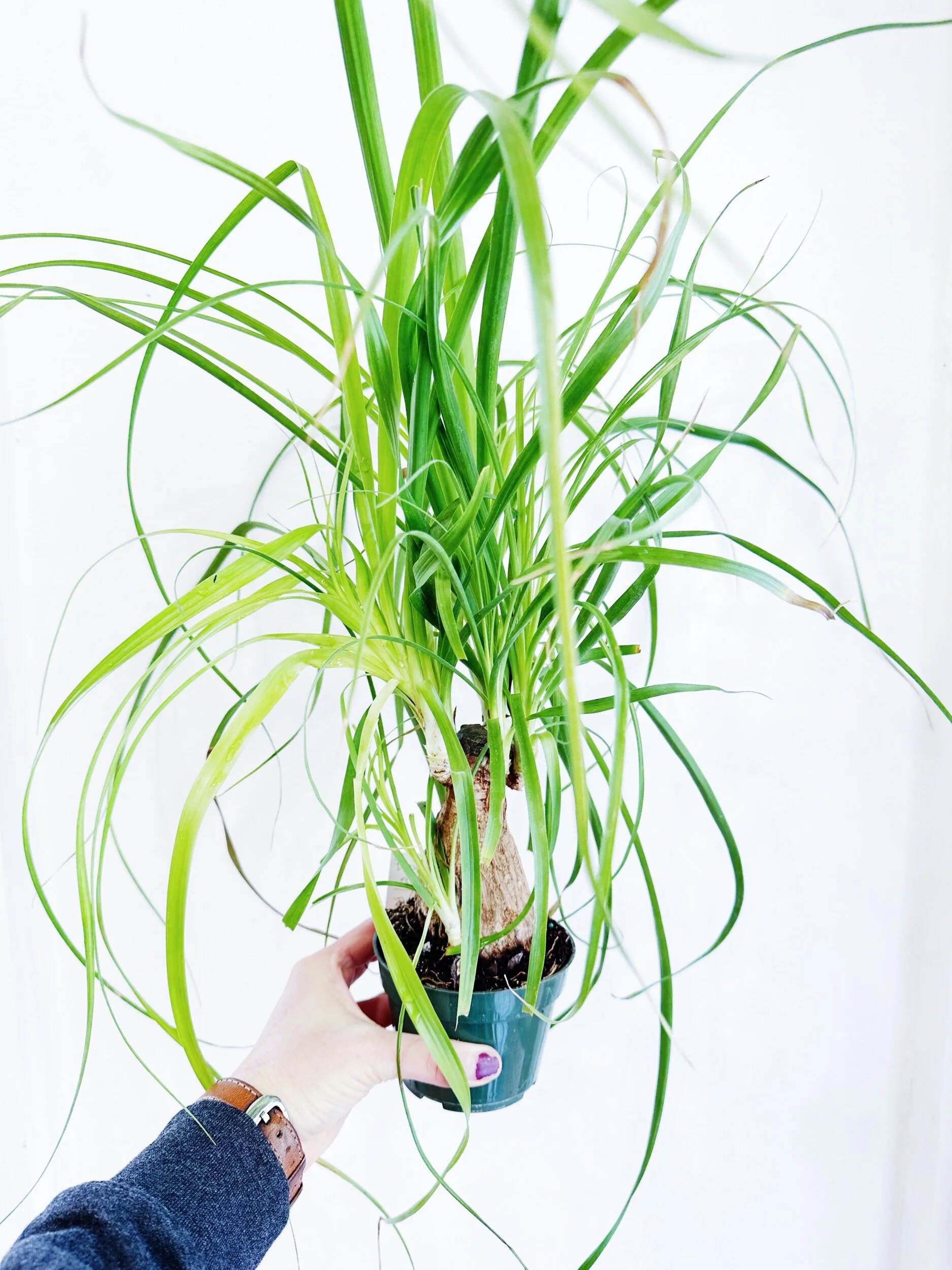 E505448B-298C-4DC2-A8B6-30BCB987686B