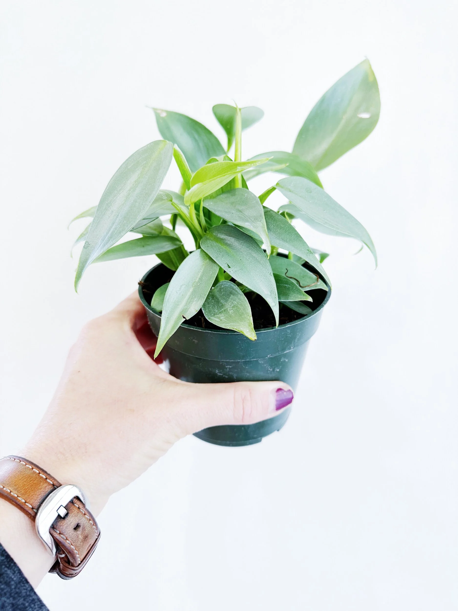 2FC0A853-03A2-4BDD-82A9-BC64F68ADE0F