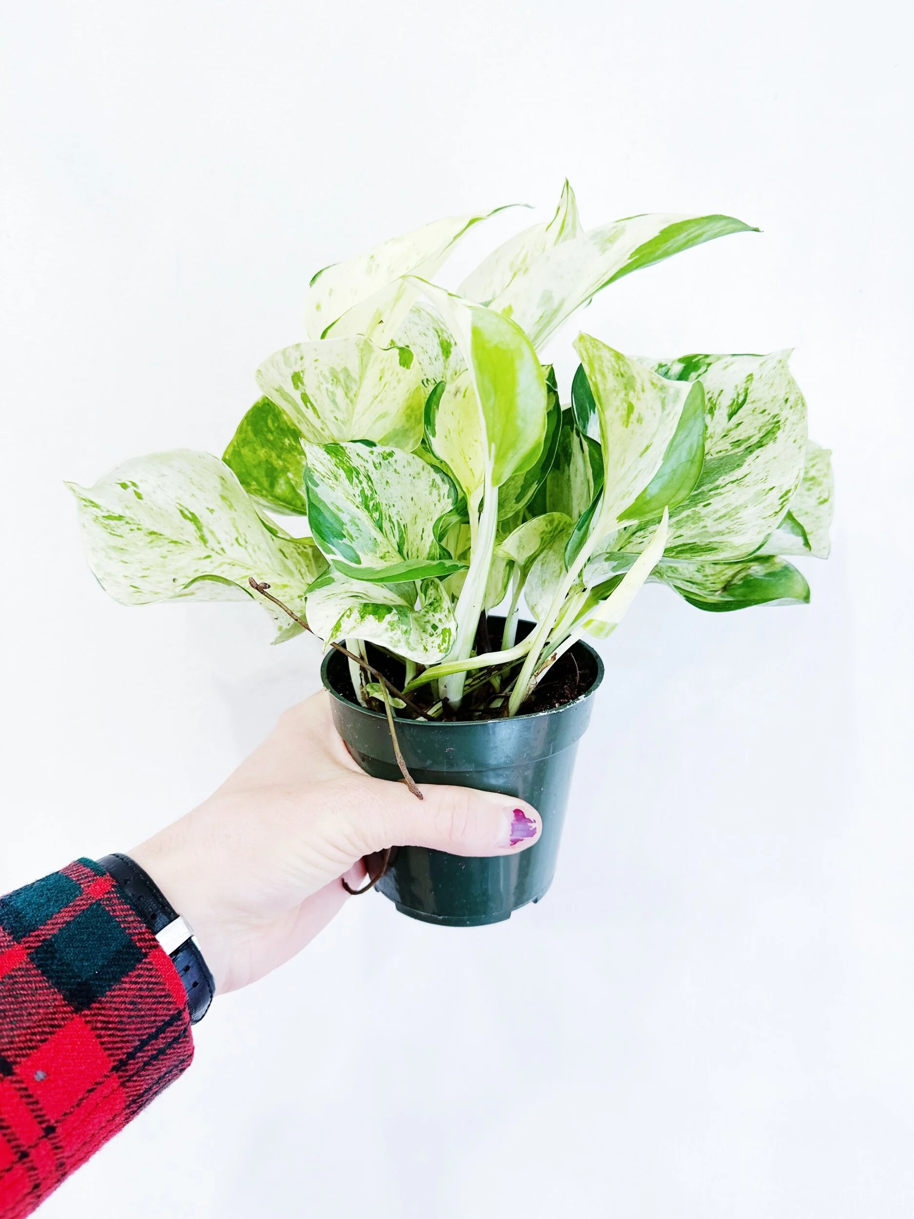 2292BE96-D2EF-4FC4-A7B0-B383592C2397