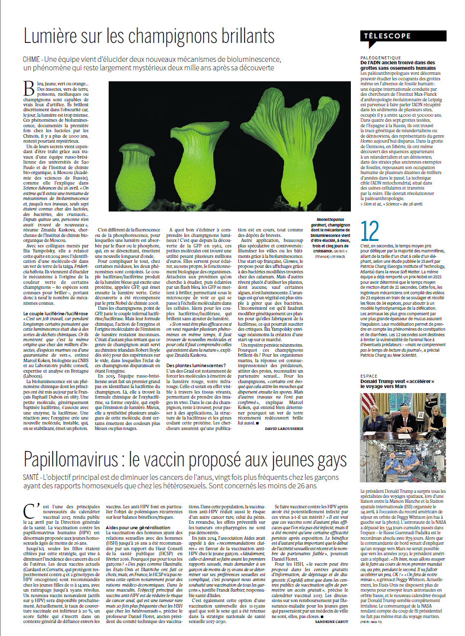 LeMonde-Yamp.png