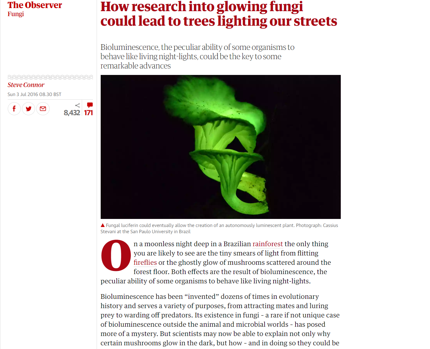 the guardian-fungi.png