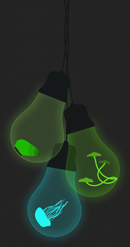 Our review about new bioluminescent systems was published in Accounts of Chemical Research