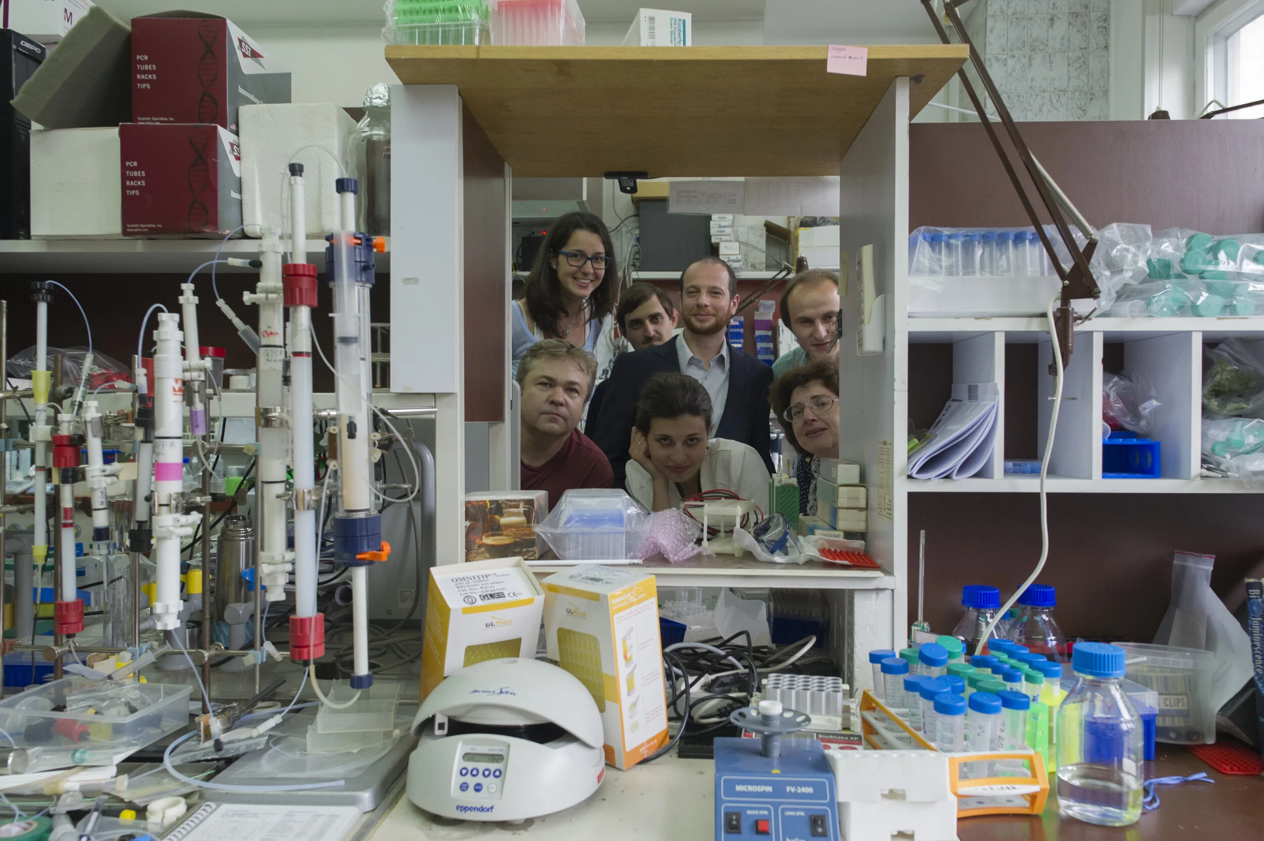Yampolsky Lab, 2016