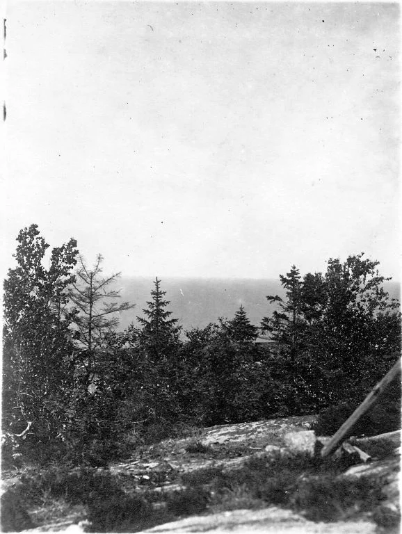 LB_SSA0876_0486.jpg