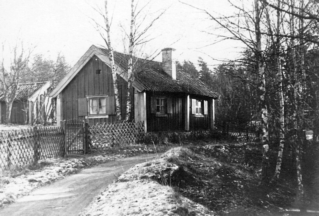 LB_SSA0876_0385.jpg