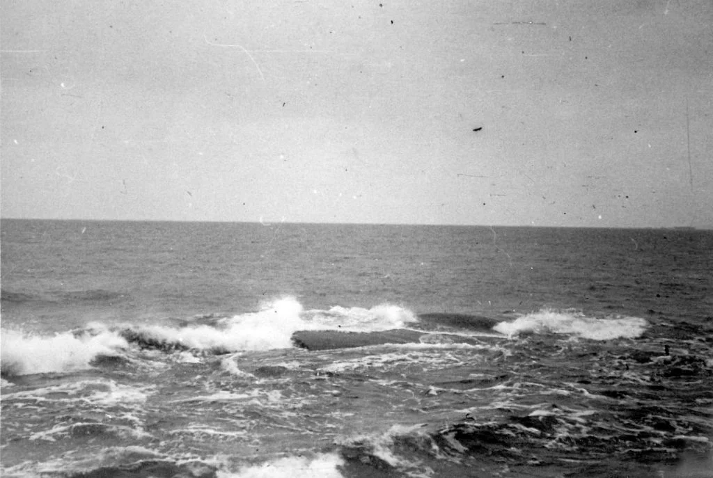 LB_SSA0876_0339.jpg