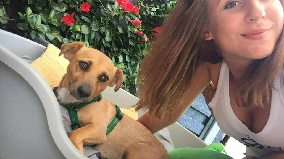 Molly in Germany