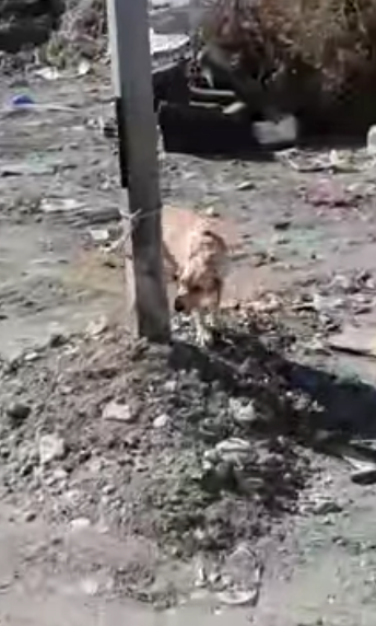 Good morning! This is how I start my day...