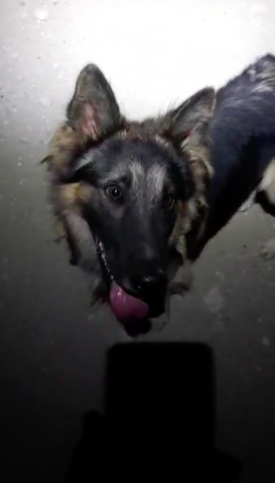 First day for this boy in the shelter