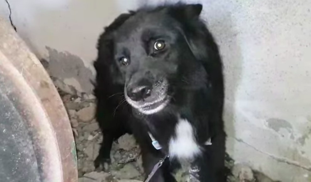 This boy was for months locked in a dark room...