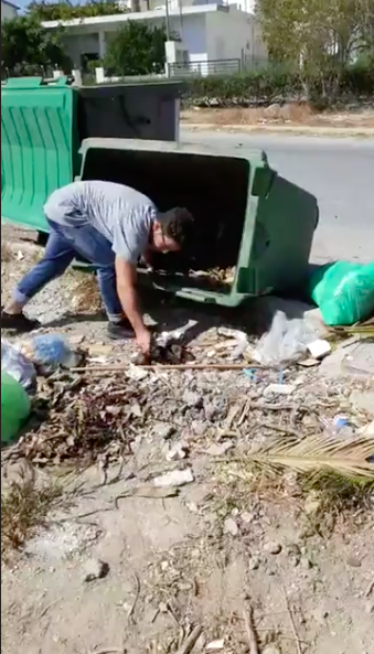 7 puppies 1 or 2 days old in the rubbish