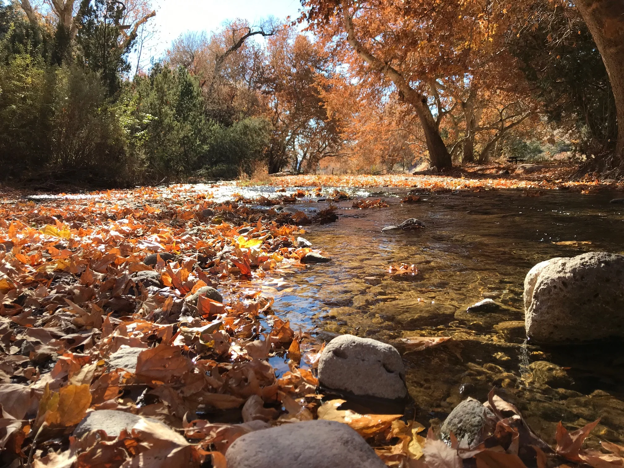 Beautiful New Mexico