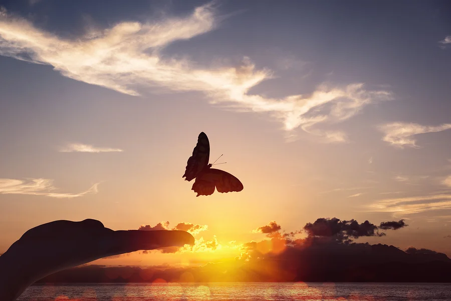 Let Go and Forgive