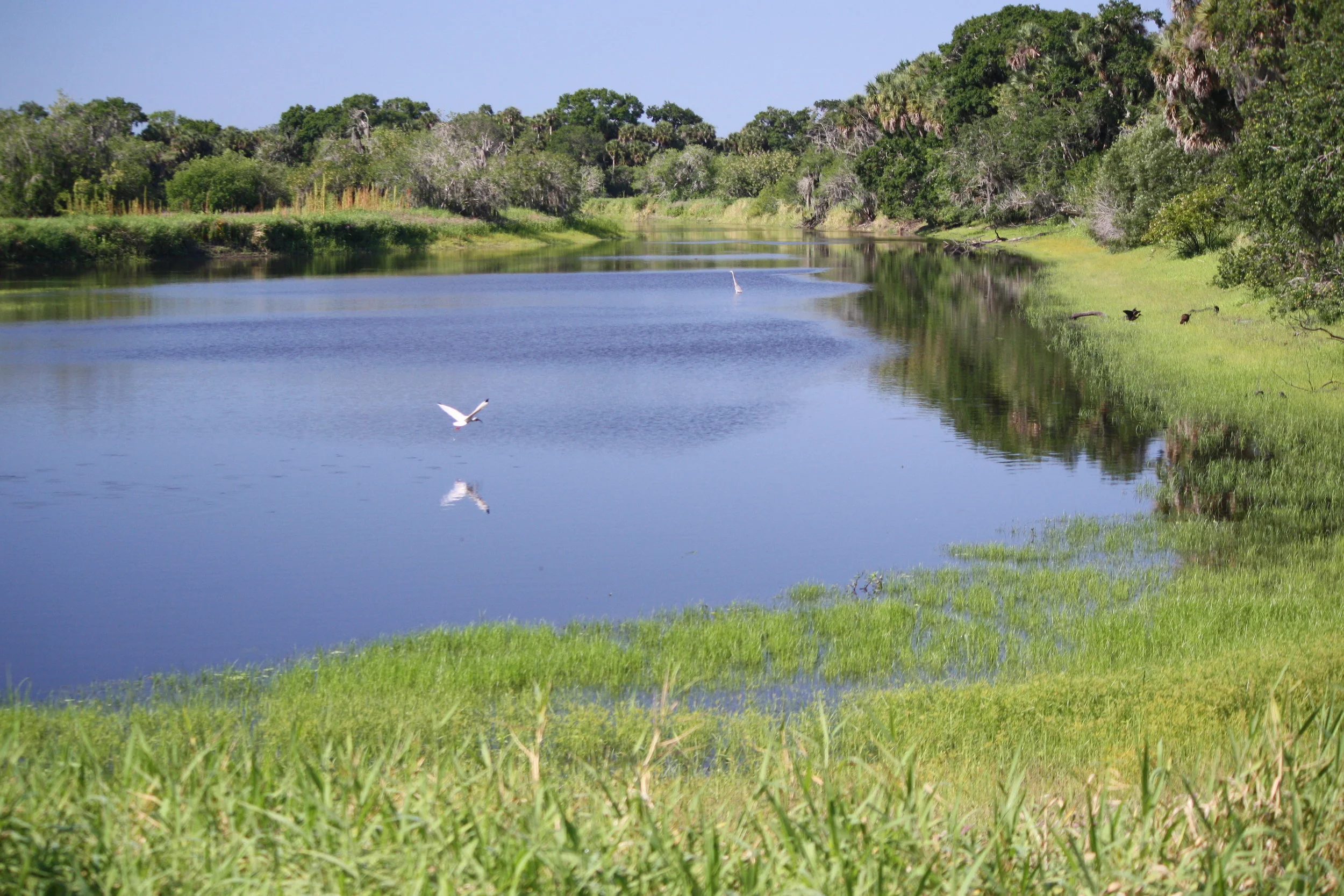 Myakka River State Park