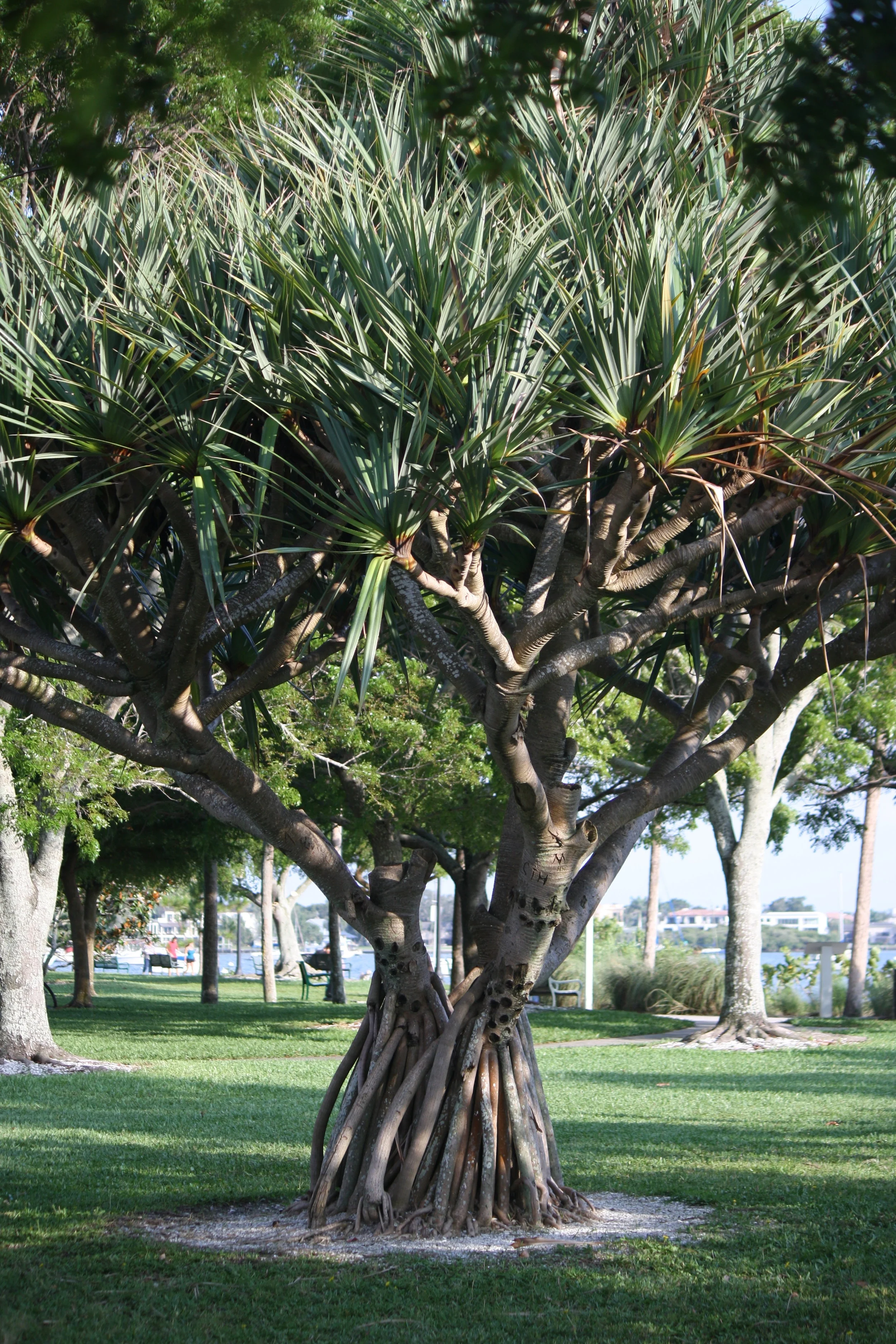 Bayfront Park